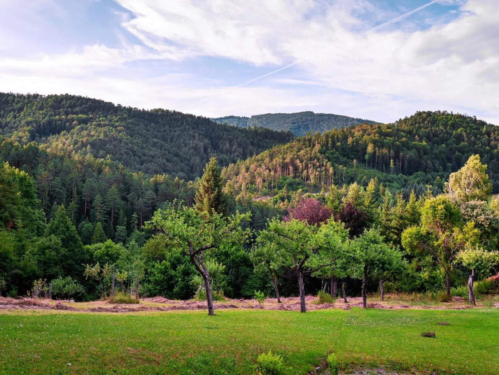 Natural landscape in LANDSITZ OBERHOF petit hôtel