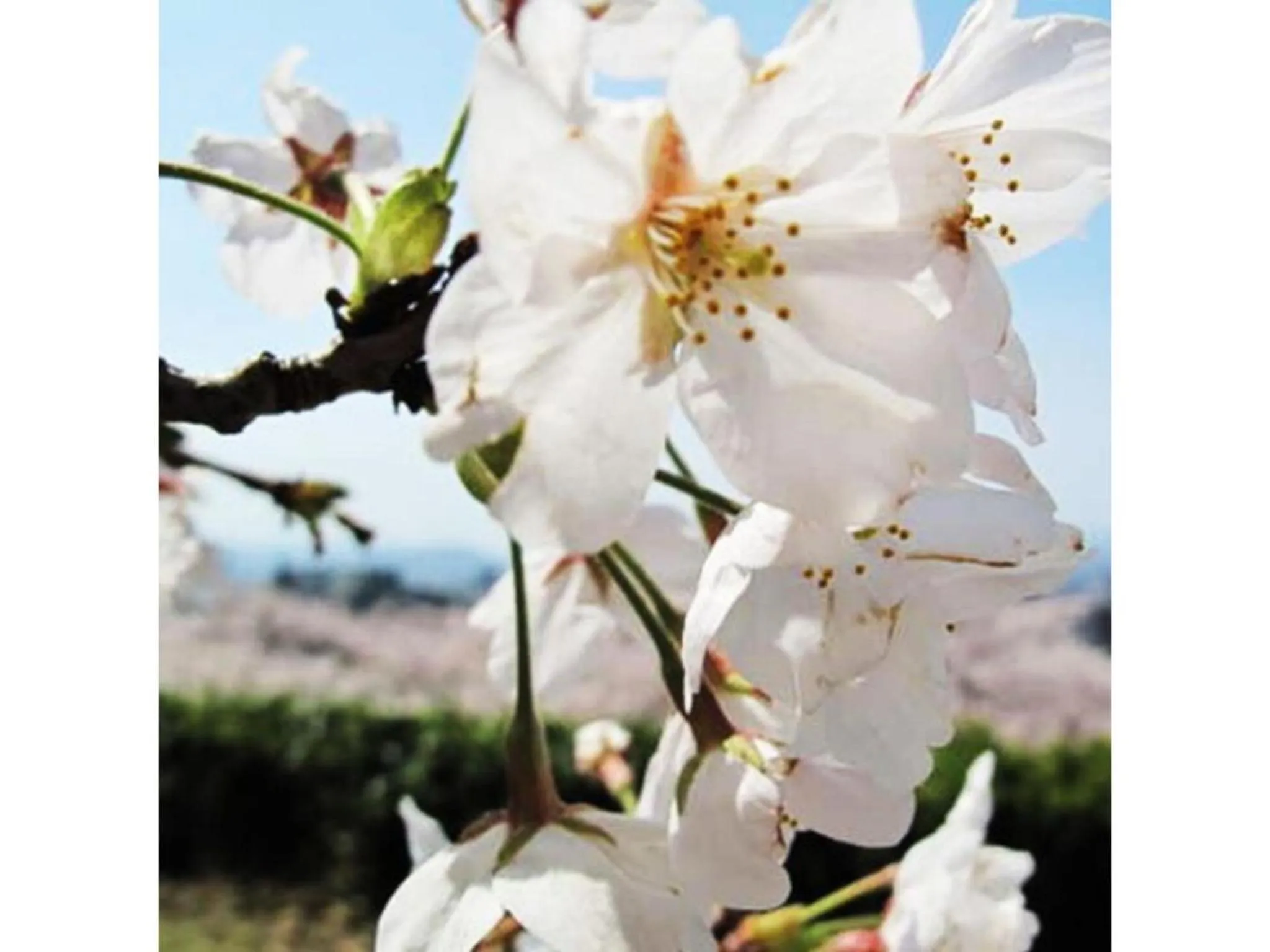 Tottori City Hotel / Vacation STAY 81355