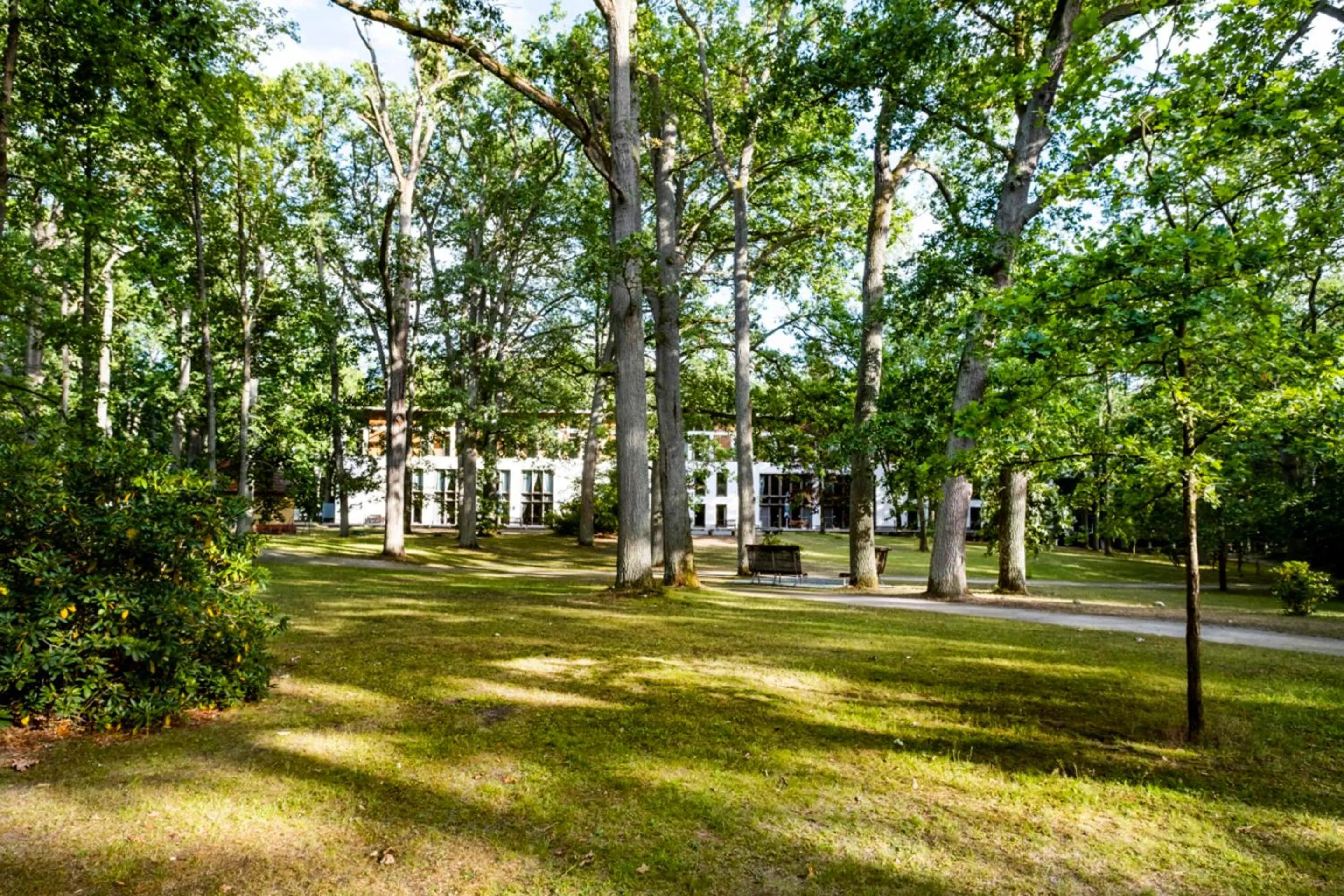View (from property/room) in Ringhotel Schorfheide I Waldresort Werbellinsee