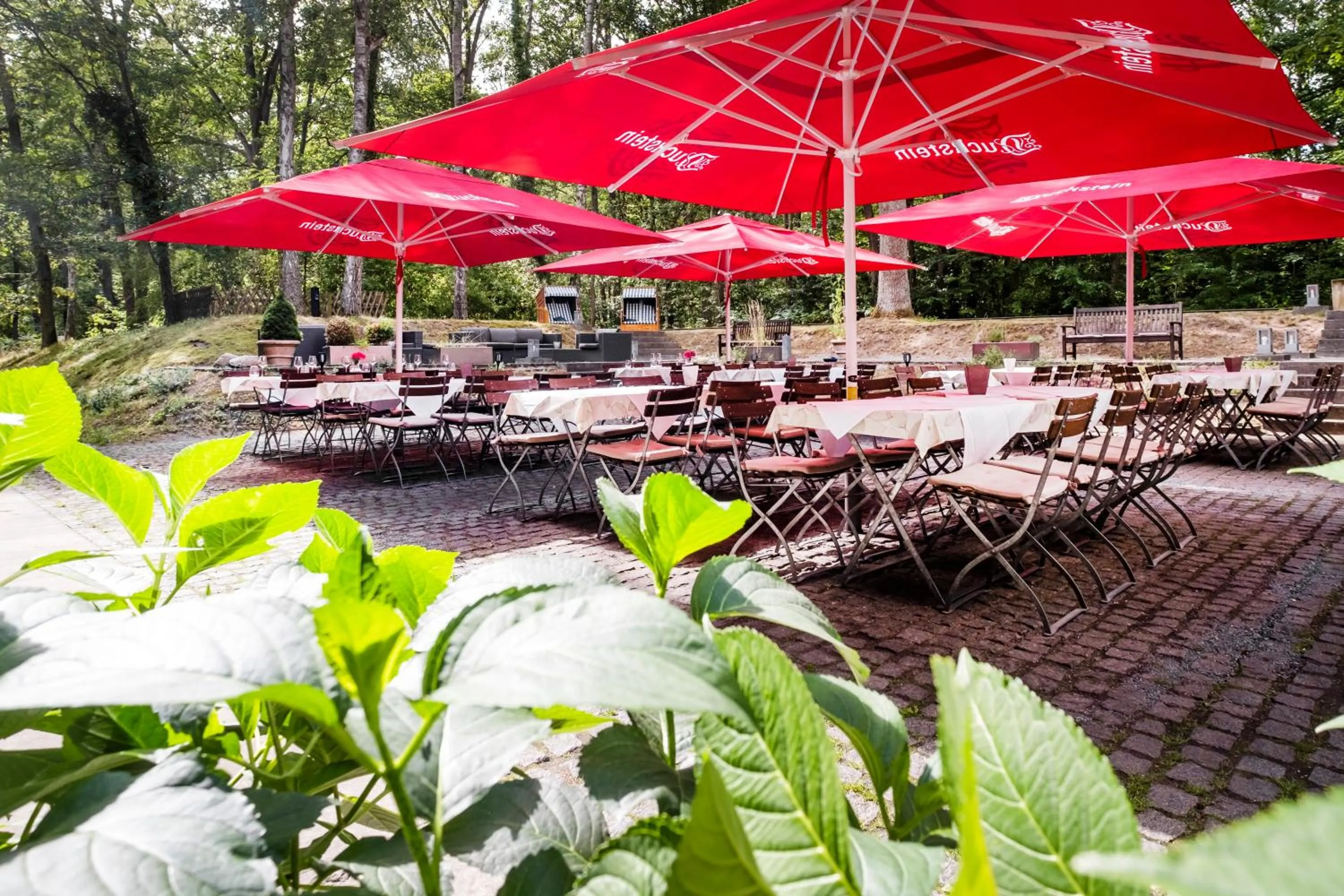 Garden in Ringhotel Schorfheide, Tagungszentrum der Wirtschaft