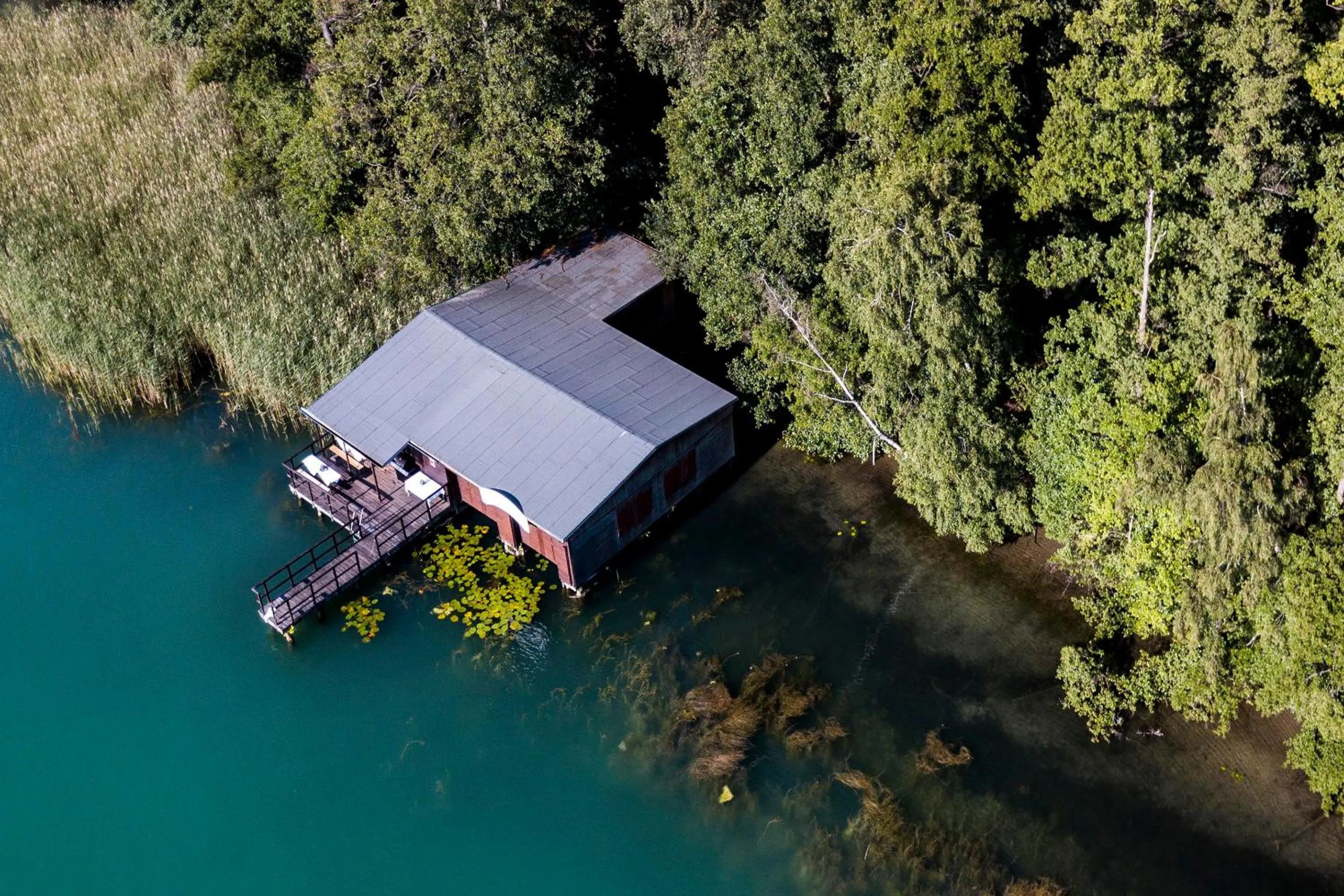 Area and facilities in Ringhotel Schorfheide I Waldresort Werbellinsee