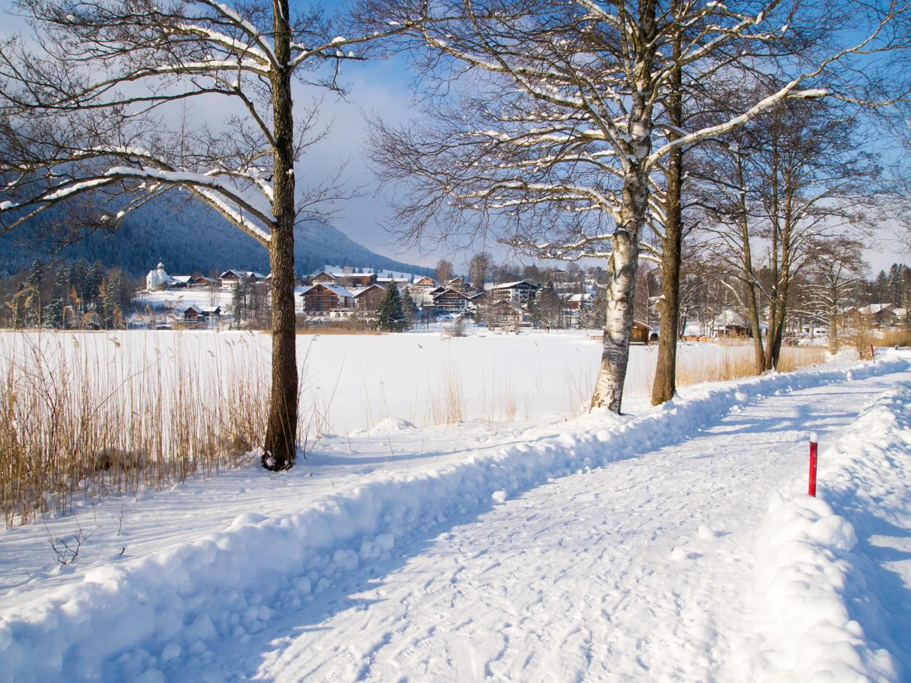 Natural landscape in Appartement-Hotel Seespitz