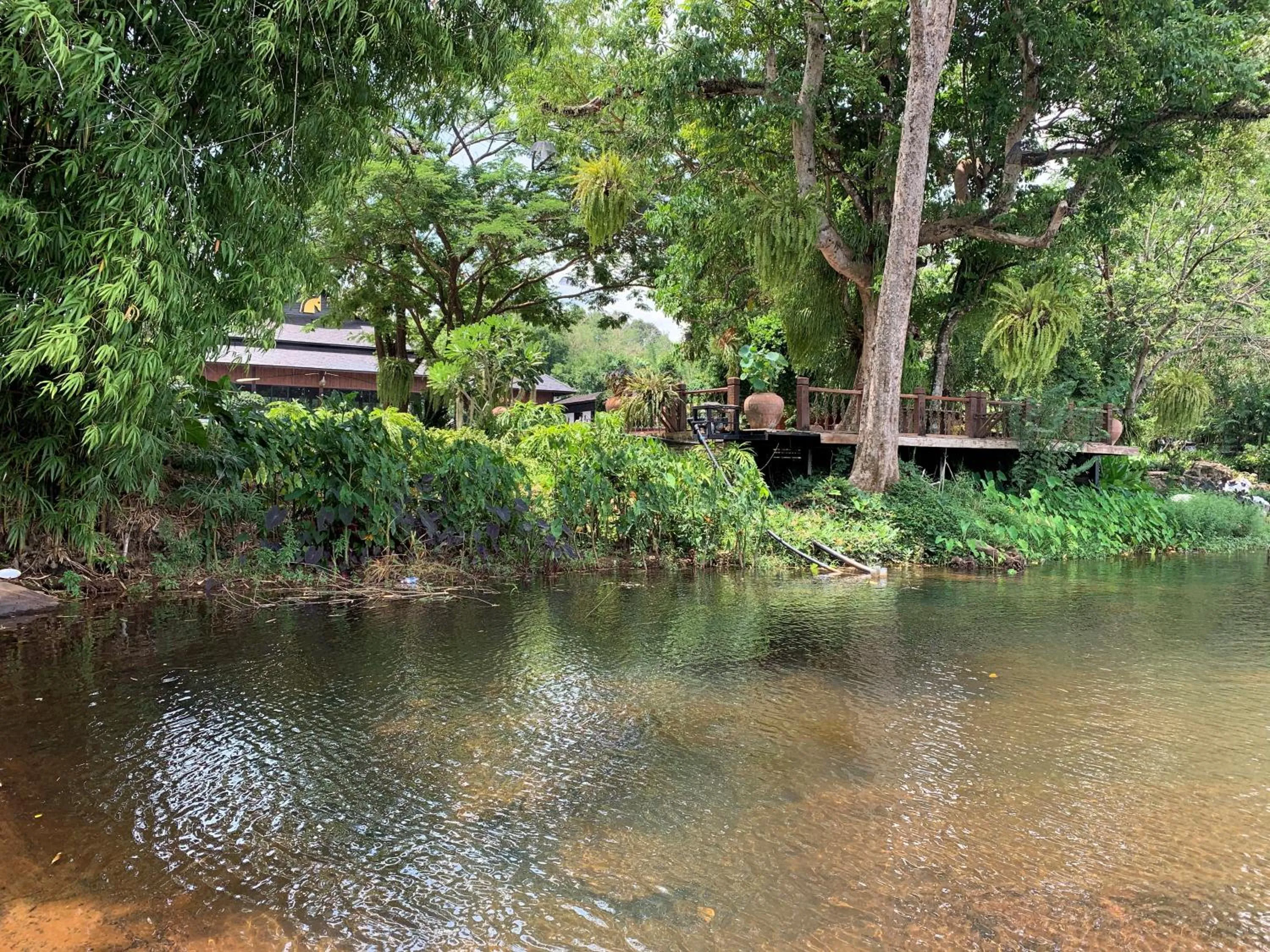 Natural landscape in Phumontra Resort Nakhon Nayok