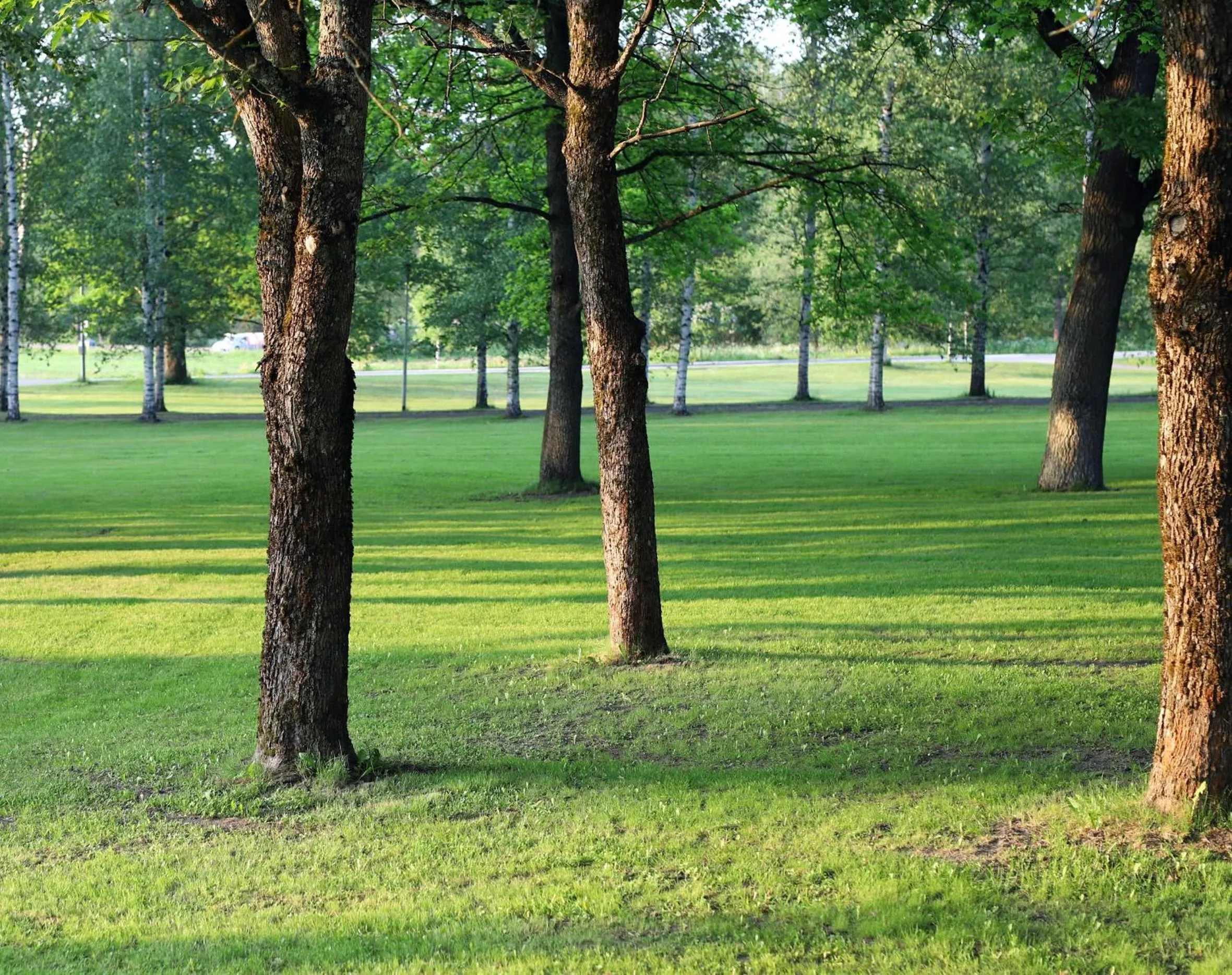 Garden in Tehtaan Hotelli