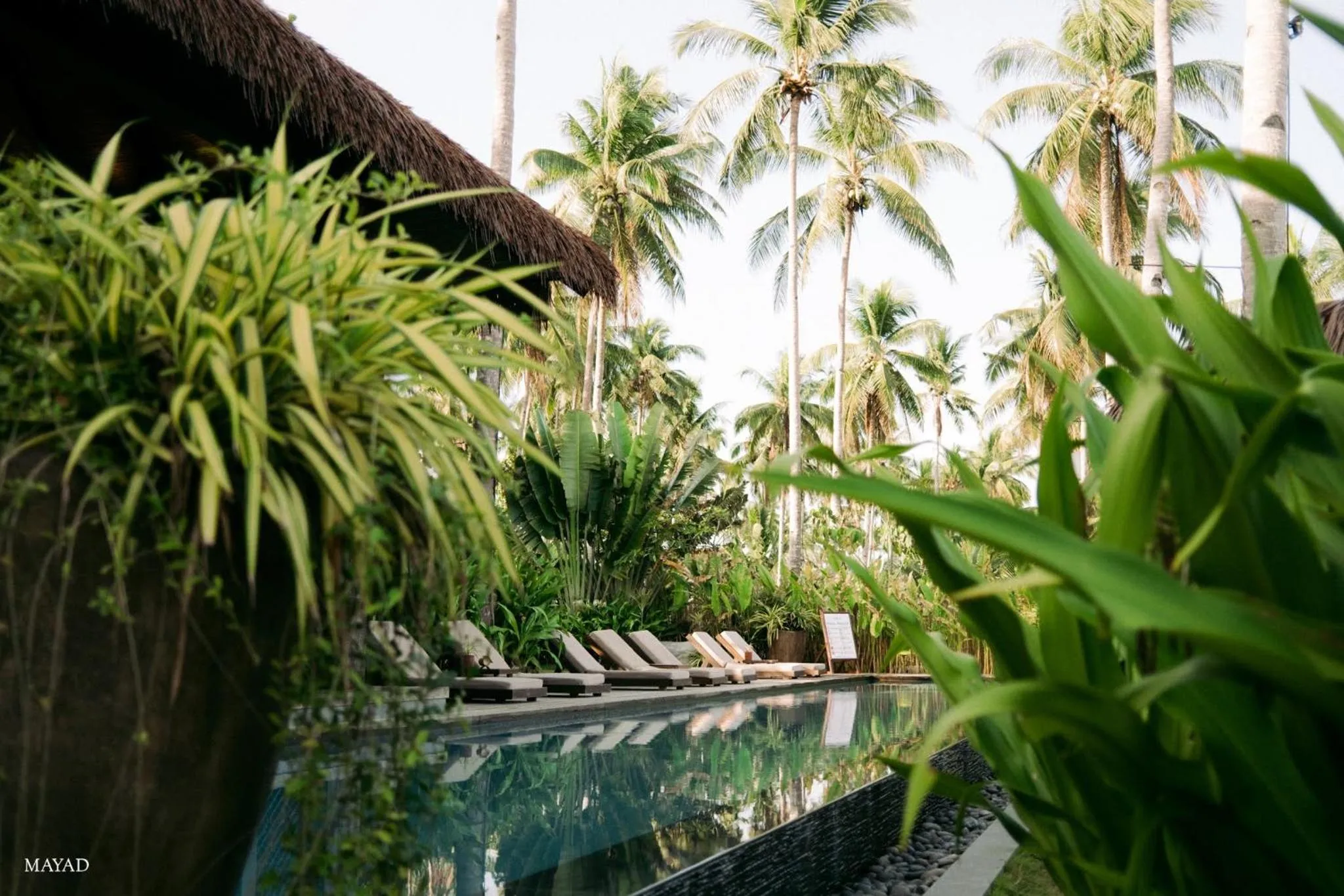 Property building in ANGKLA Beach Club & Boutique Resort