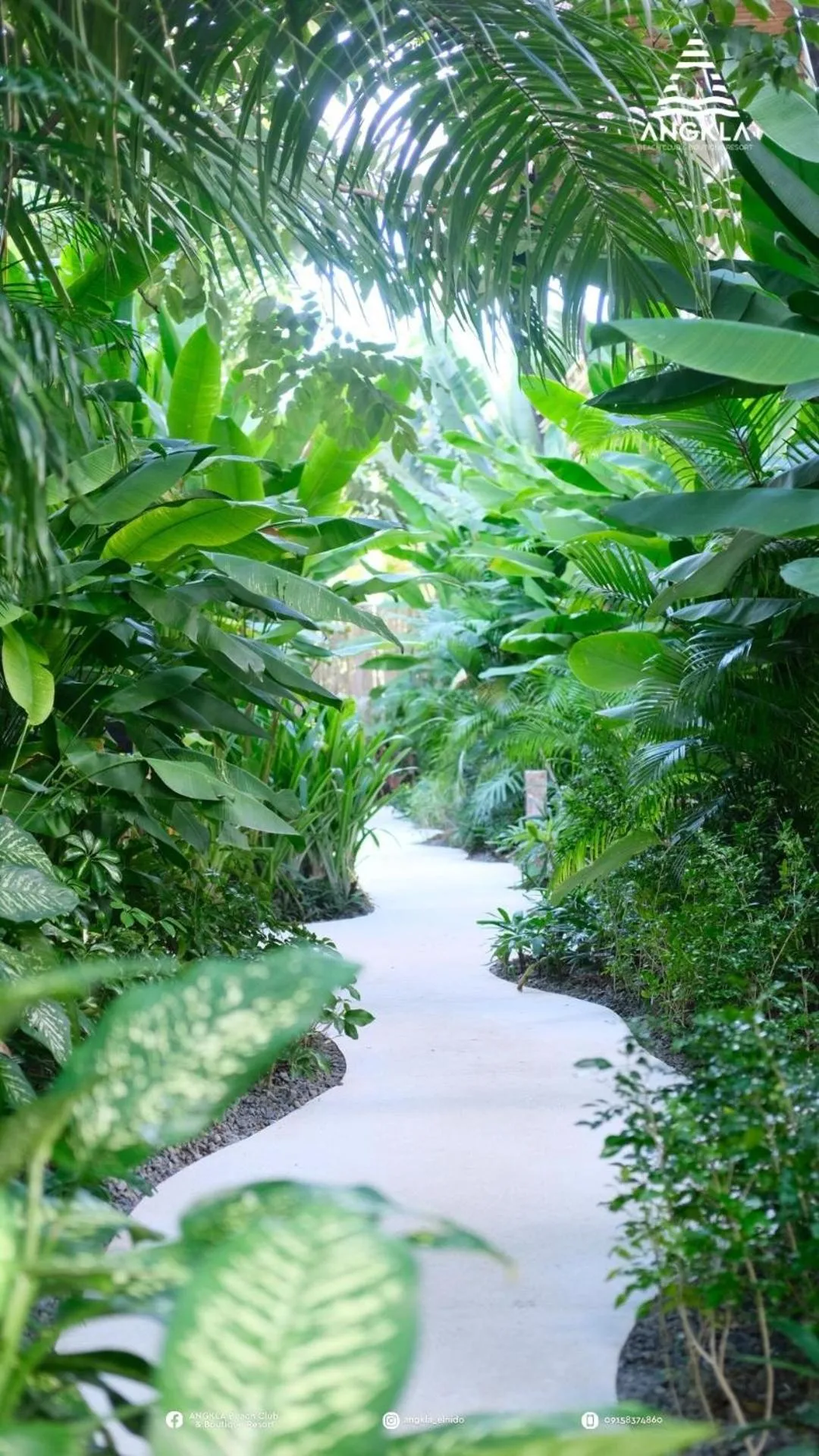 Natural landscape in ANGKLA Beach Club & Boutique Resort