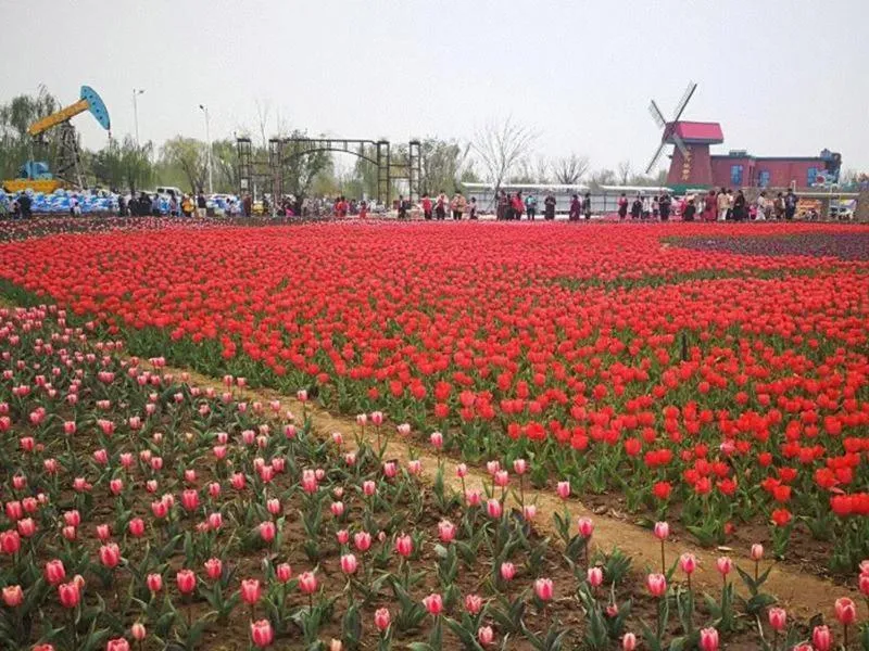 7Days Premium Binzhou People's Hospital Branch