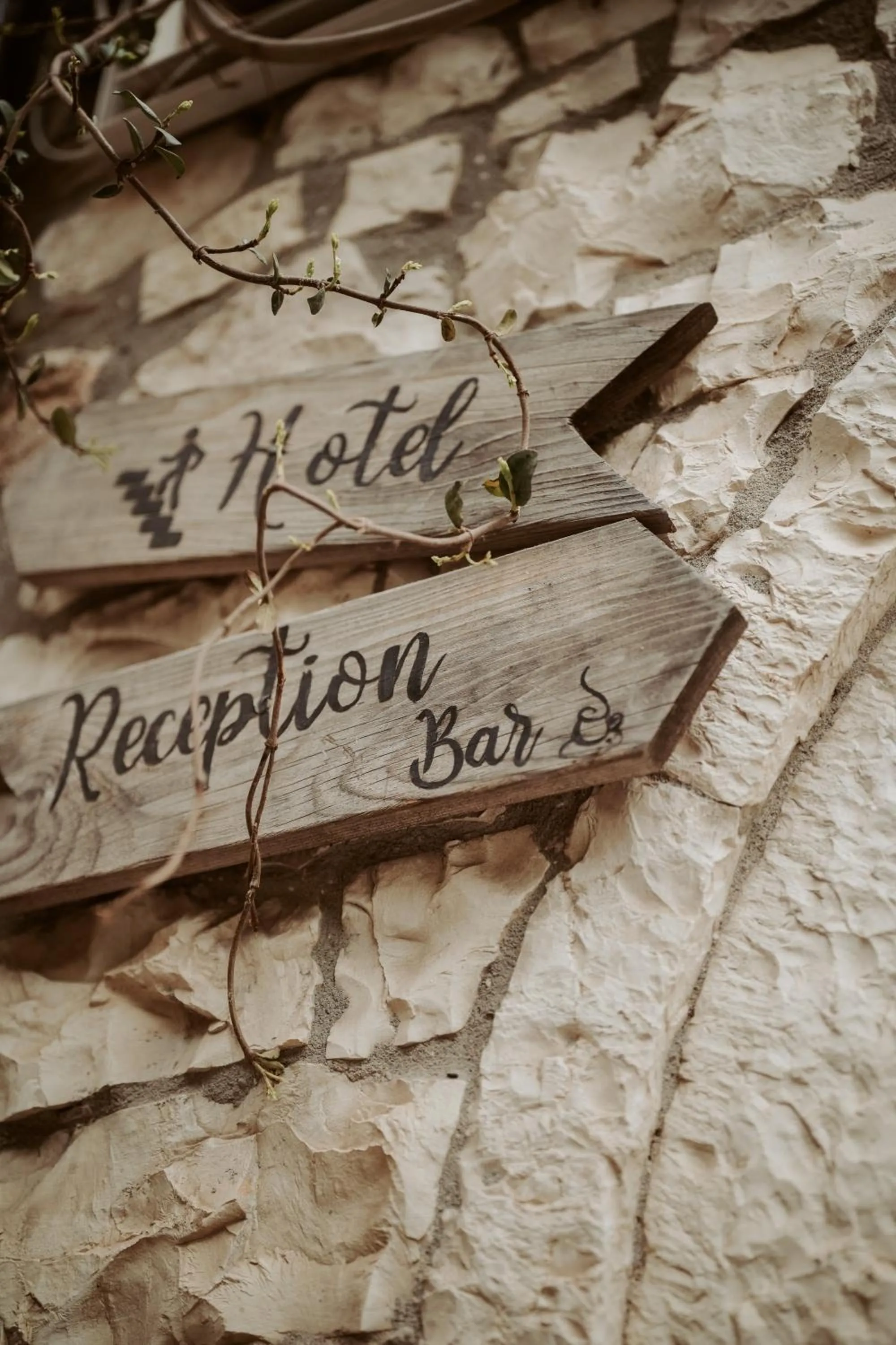 Restaurant/places to eat in HOTEL ANSEL