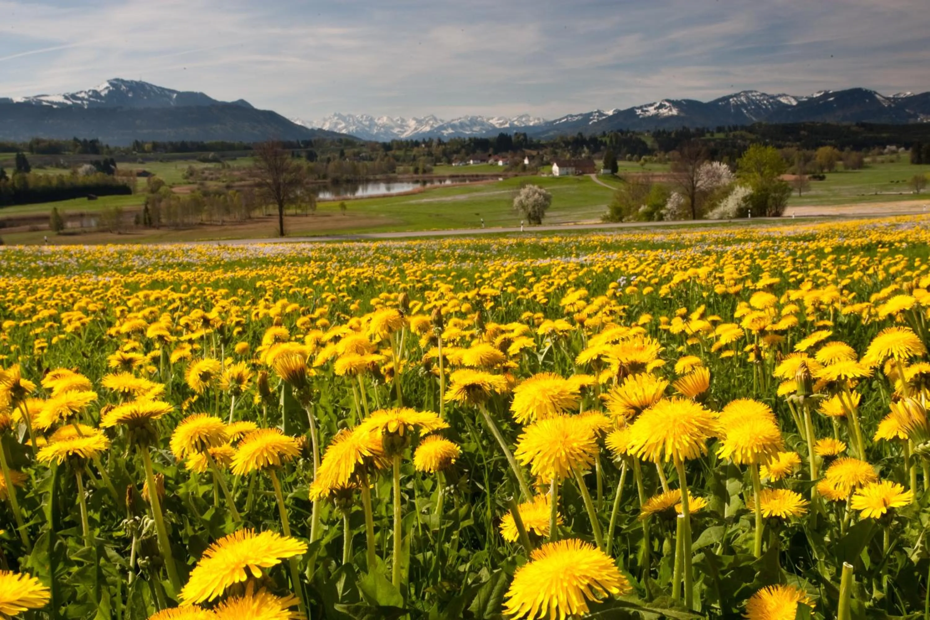 Other in Hotel Waldhorn