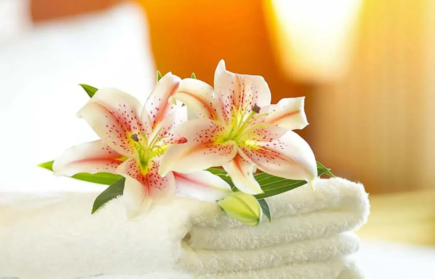 Decorative detail in Hotel Morjan