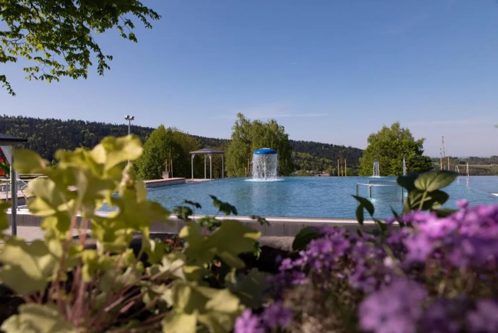 Swimming pool in Michel Hotel Waldkirchen am Badepark