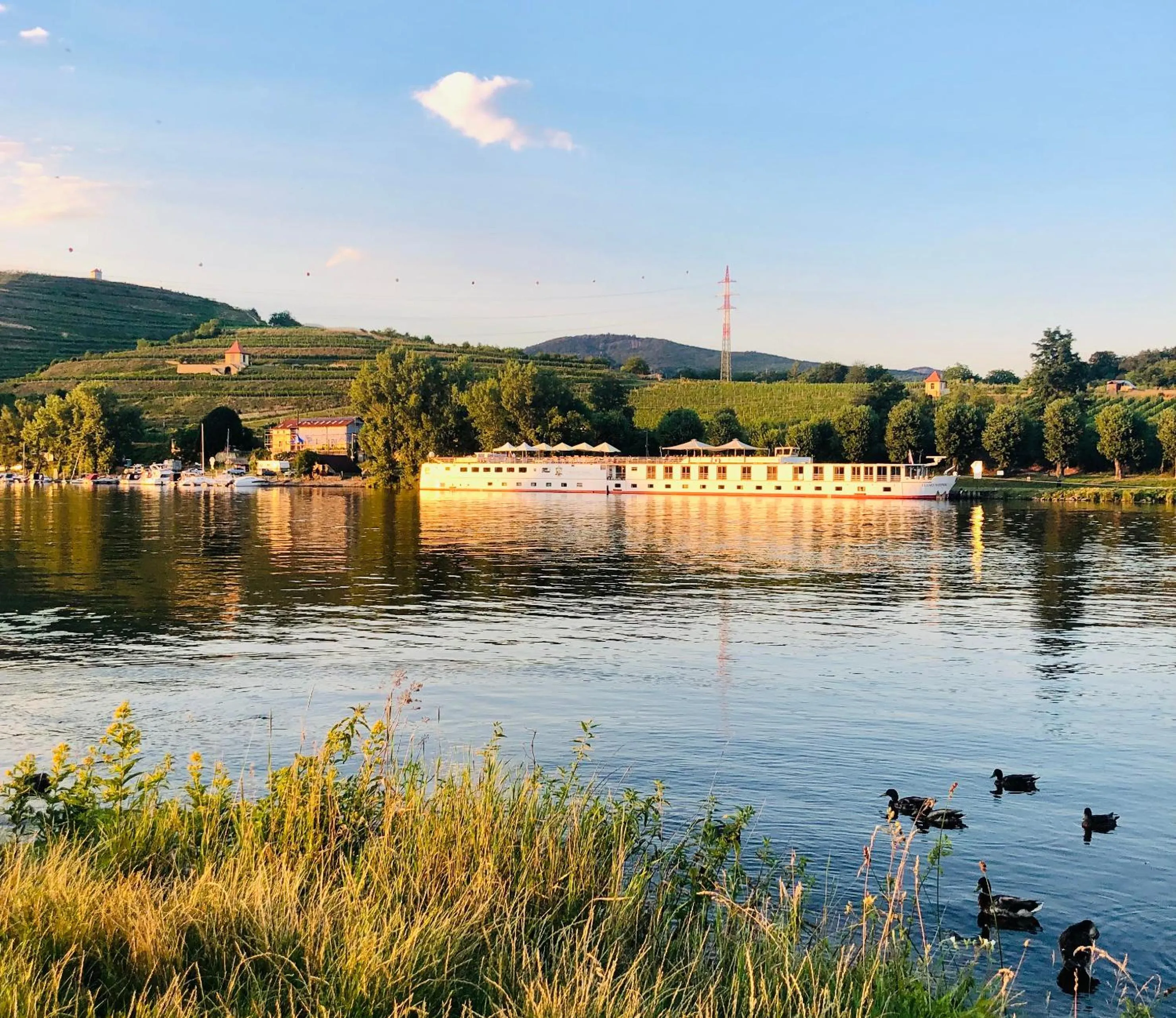 Facade/entrance in Florentina boat