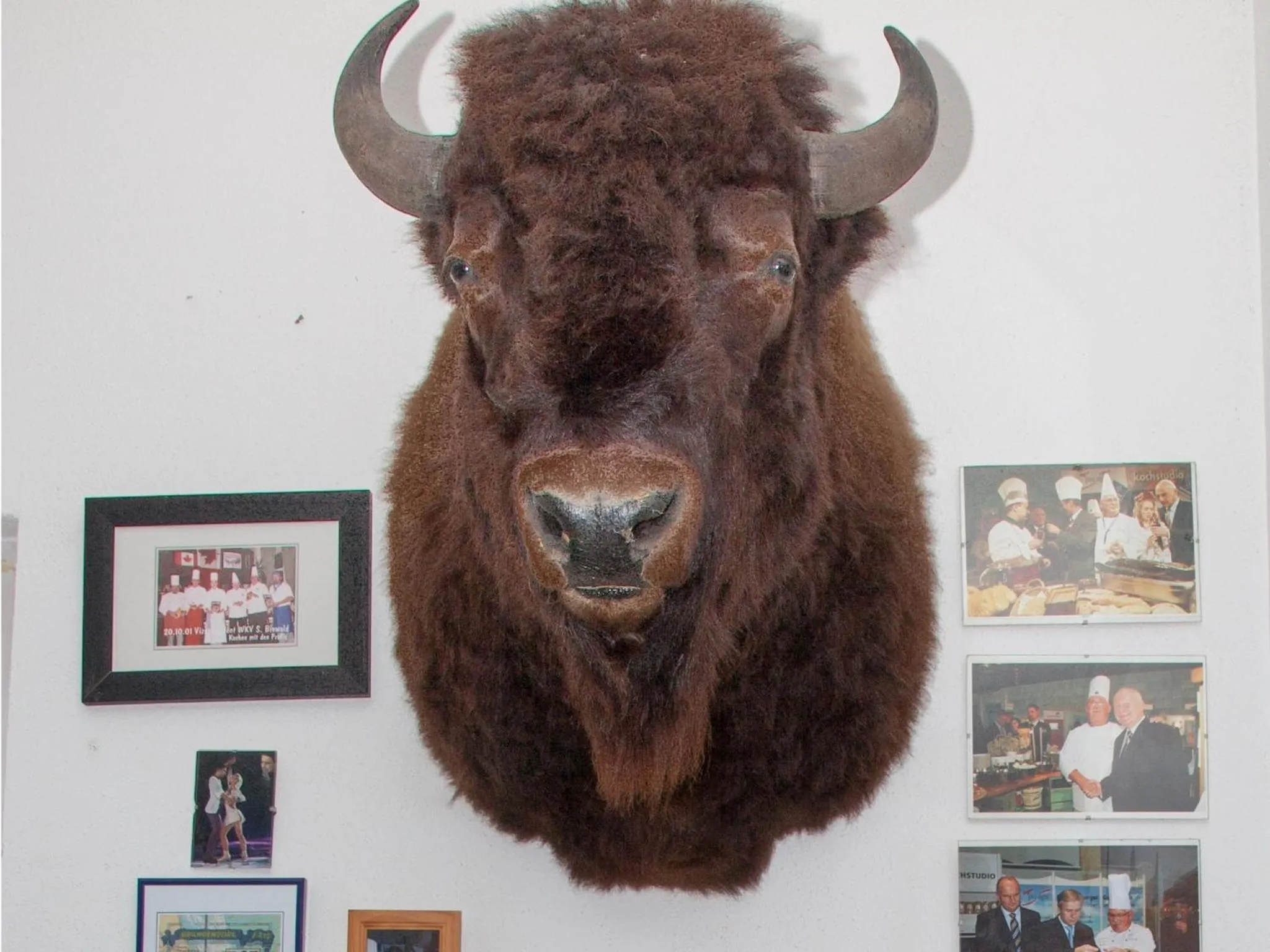 Pets in Hotel Zum Stern Spreewald