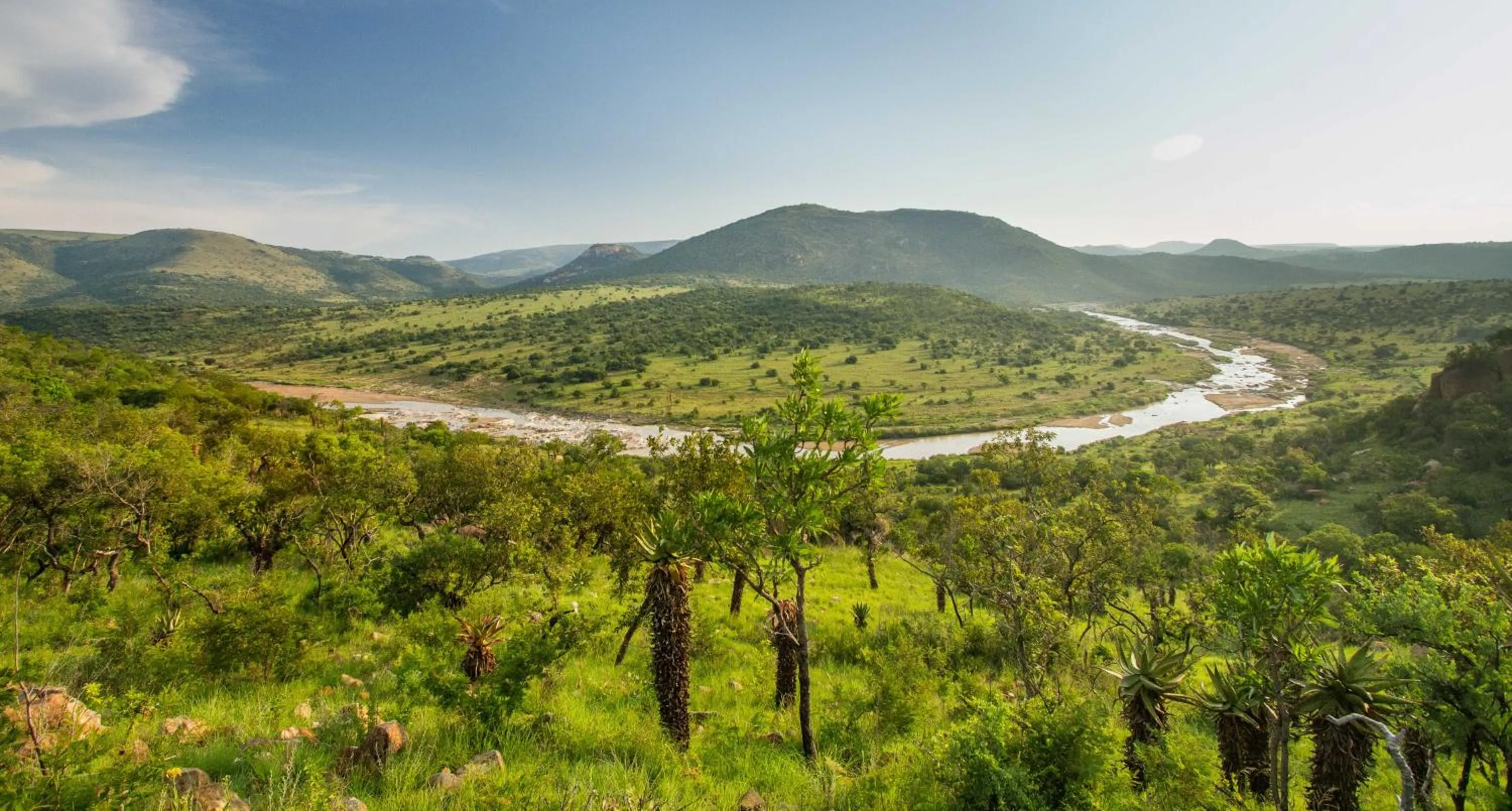 Natural landscape in Zulu Rock Lodge - Babanango Game Reserve