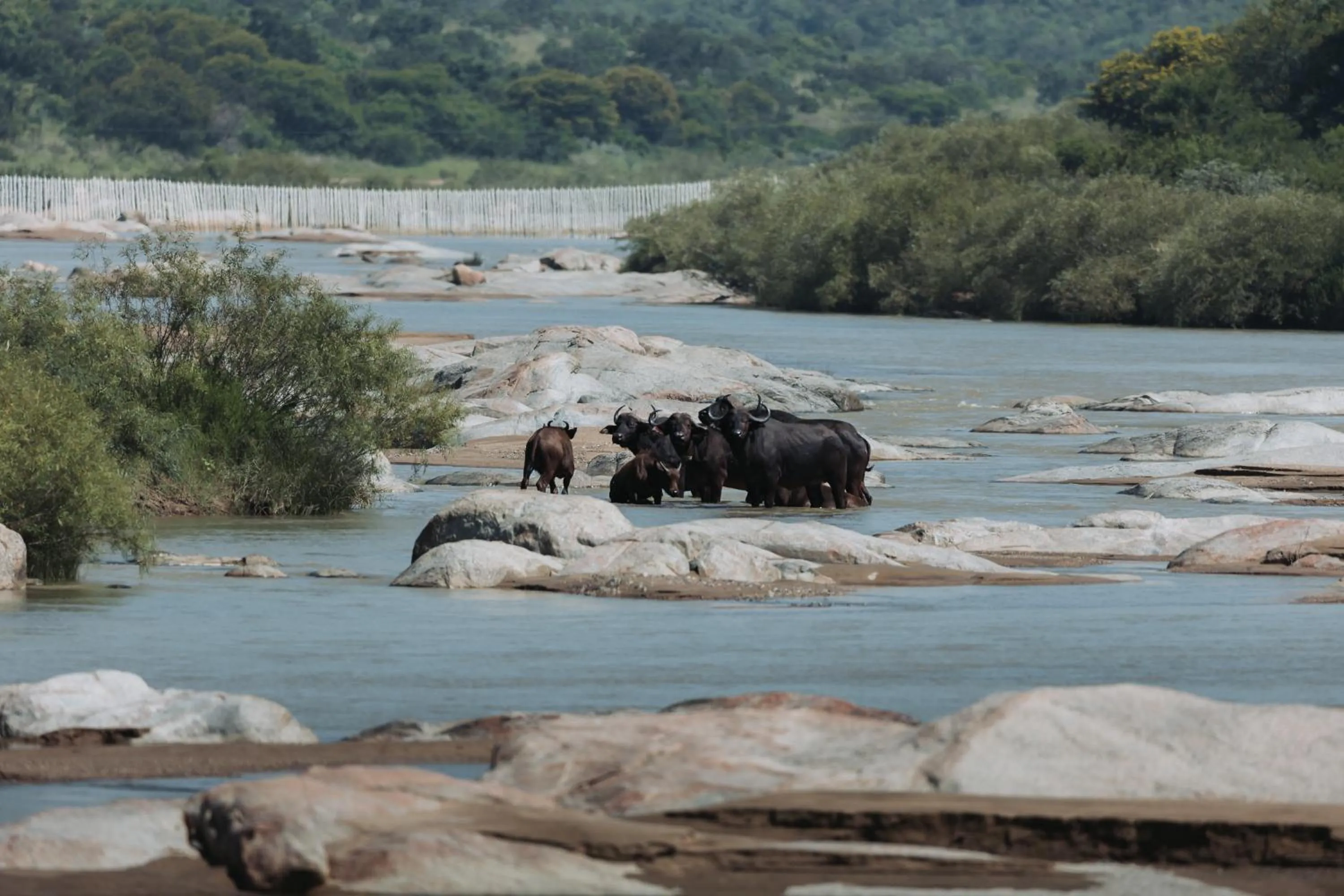 Natural landscape in Zulu Rock Lodge - Babanango Game Reserve