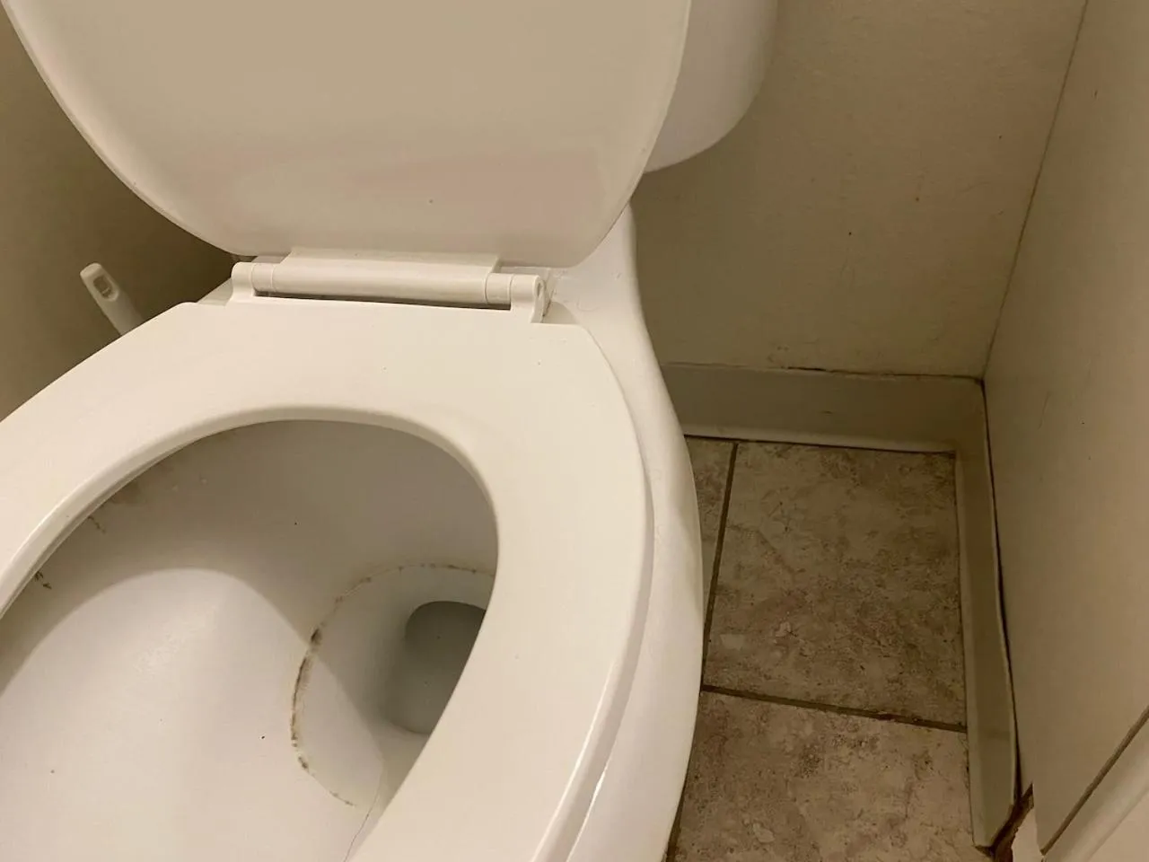 WHOLE Family - Rosemont