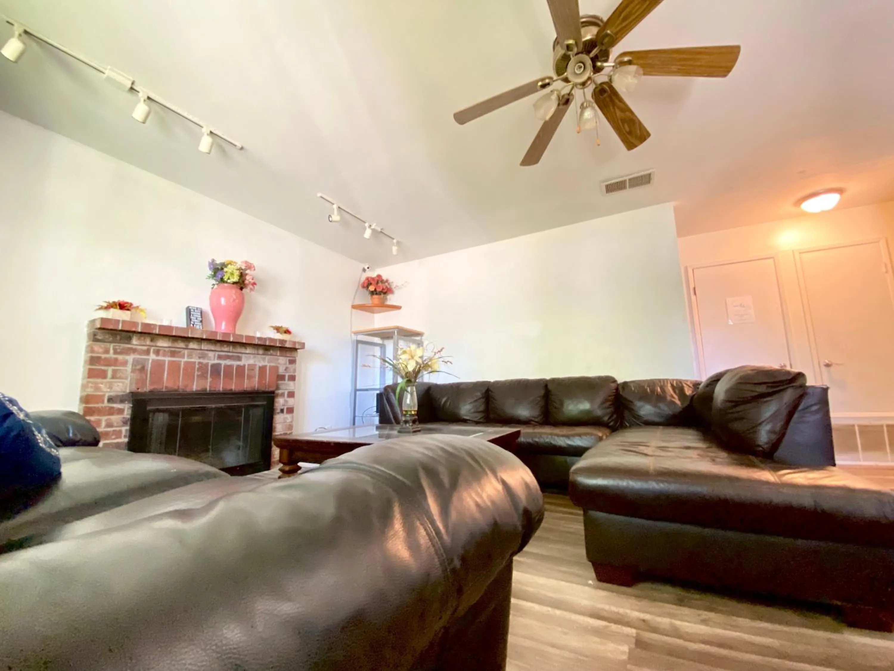 WHOLE Family - Rosemont