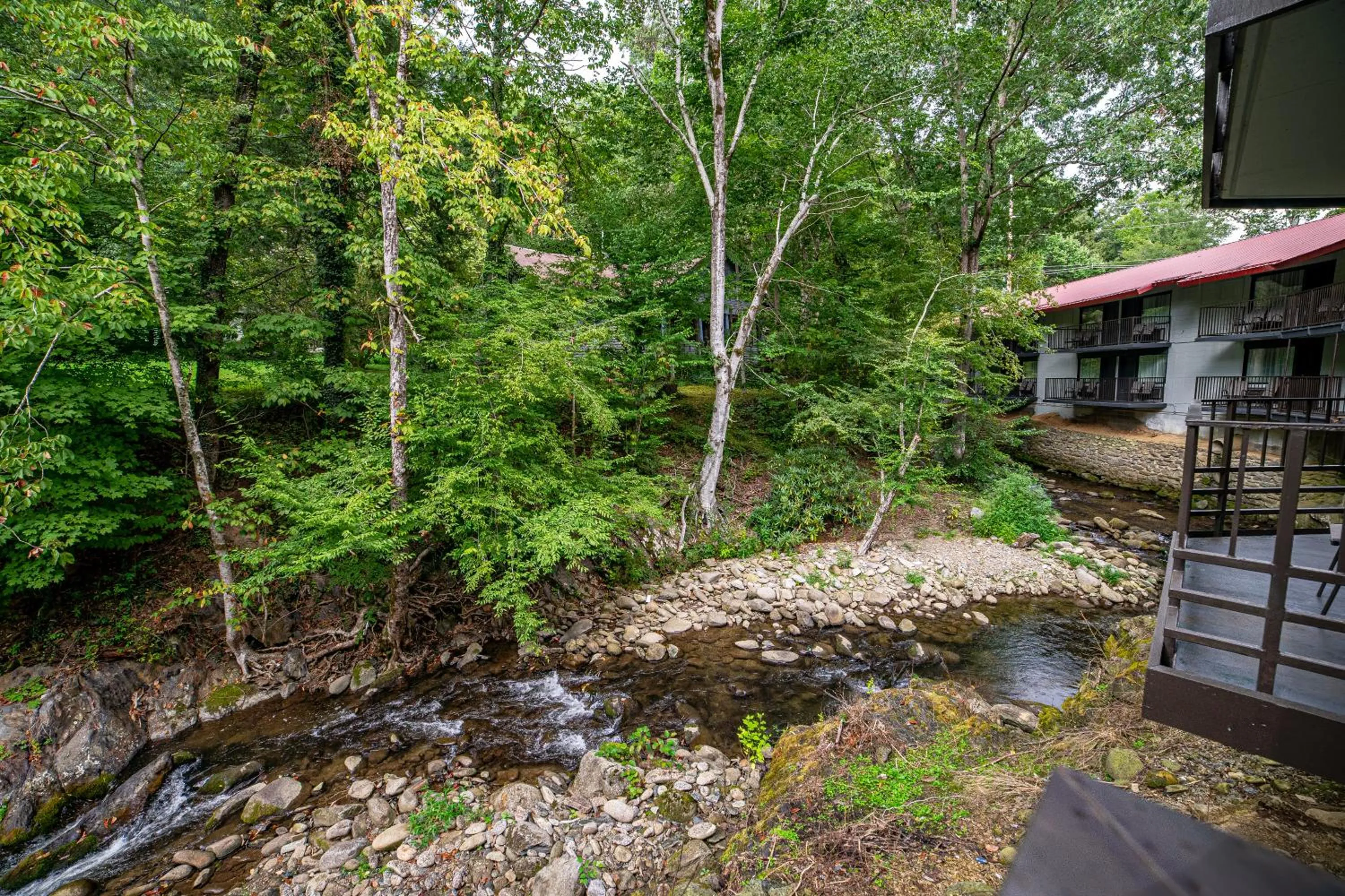 Natural landscape in Bear Creek Inn Gatlinburg, TN