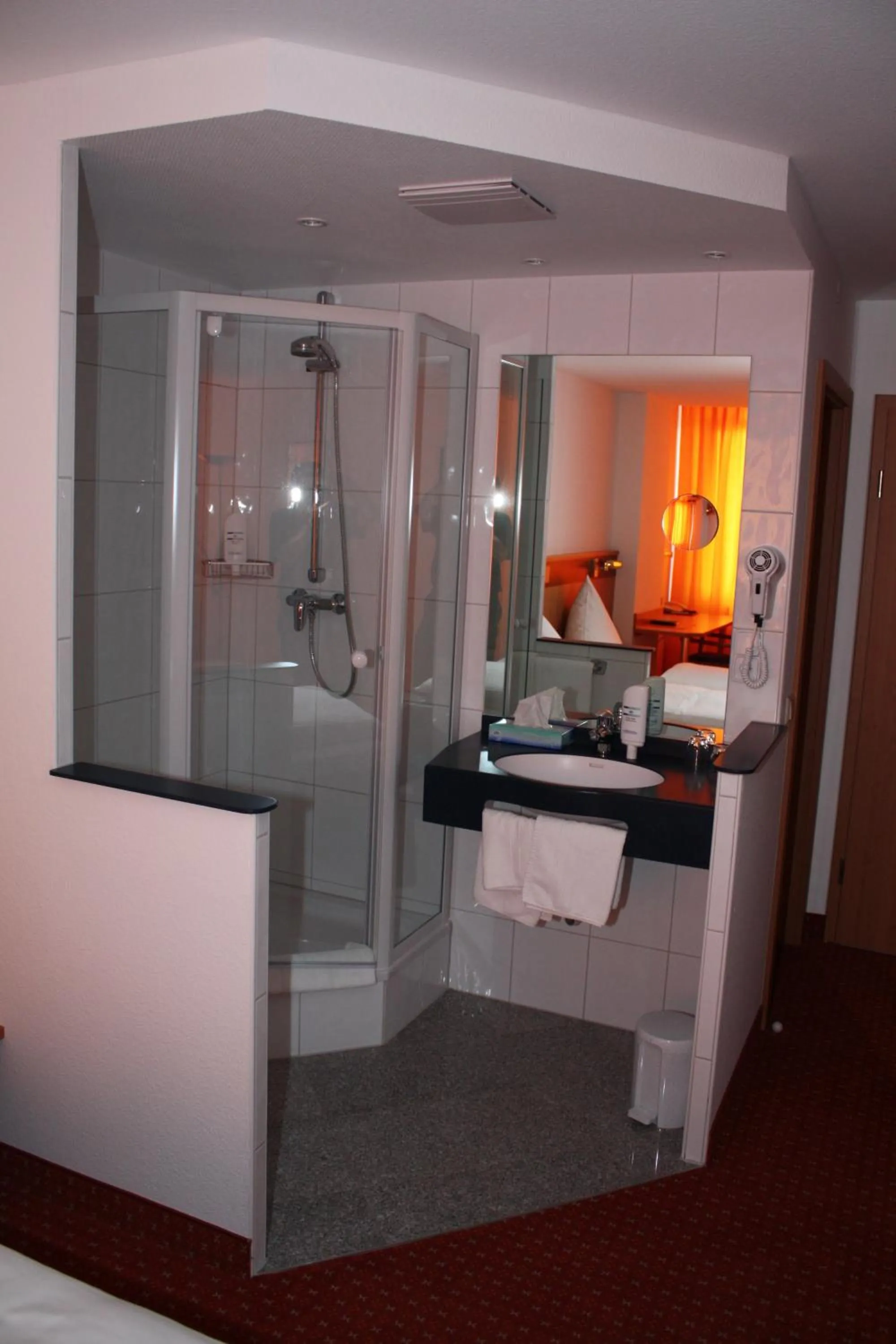 Bathroom in Hotel & Restaurant Zum Ochsen -Ox Distillery