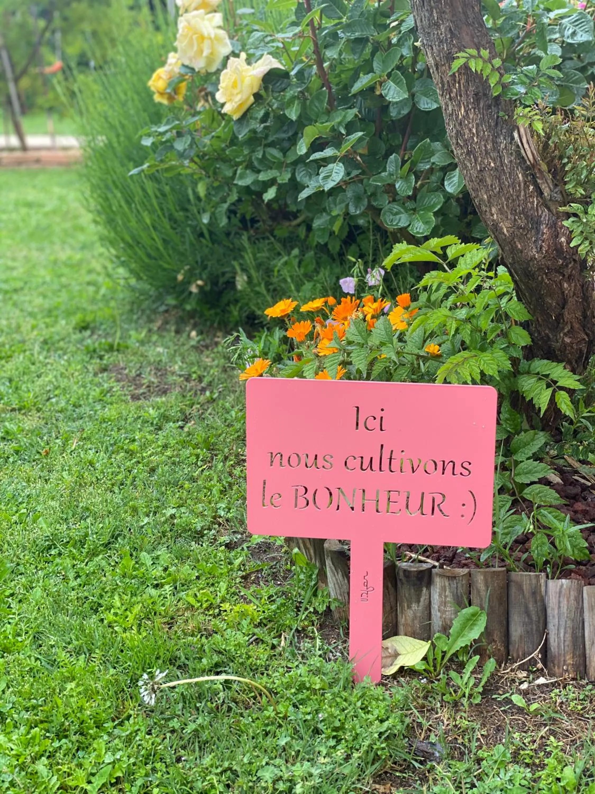 Garden in Chambre d’hôtes vaucluse
