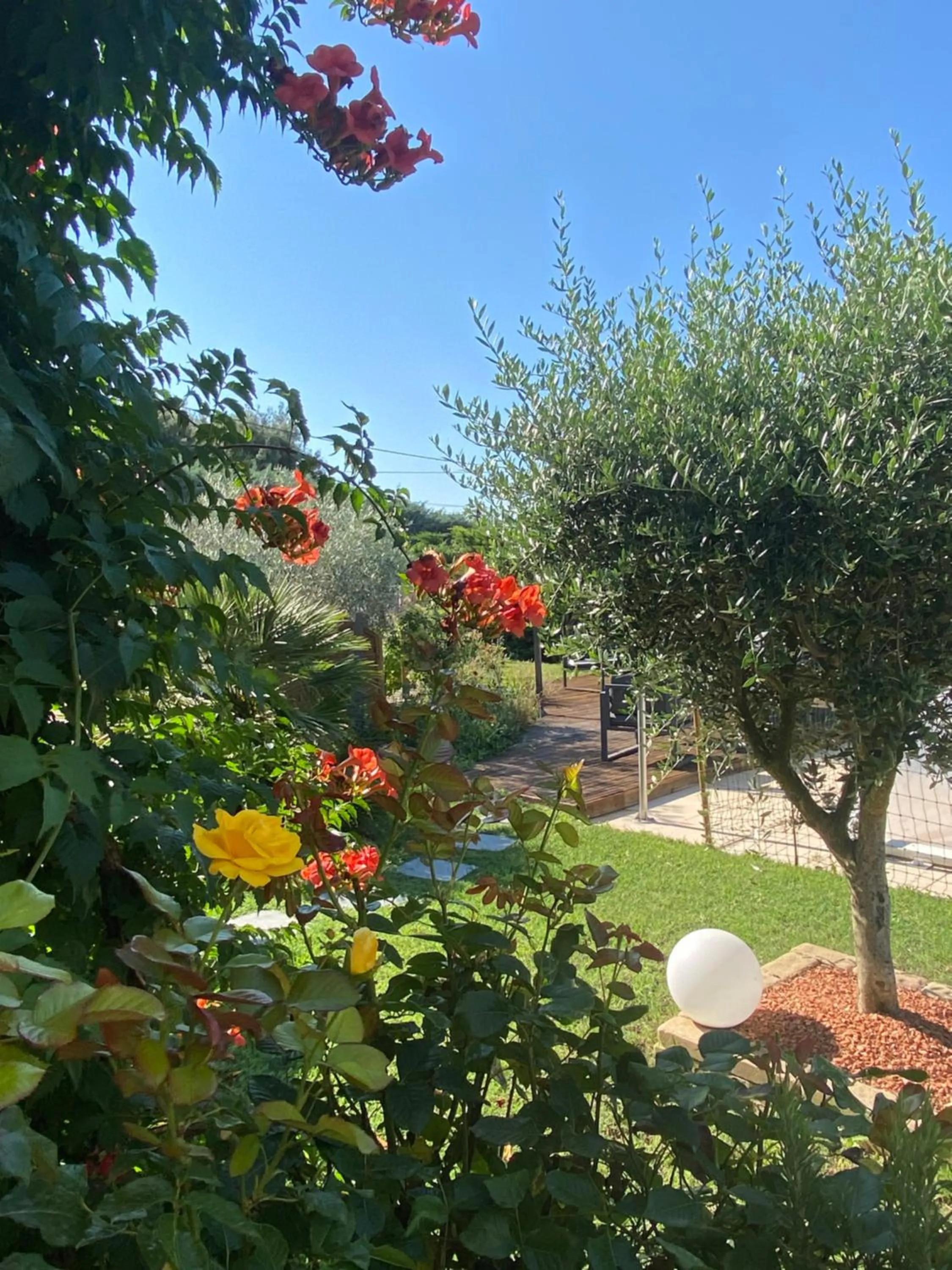 Garden in Chambre d’hôtes vaucluse