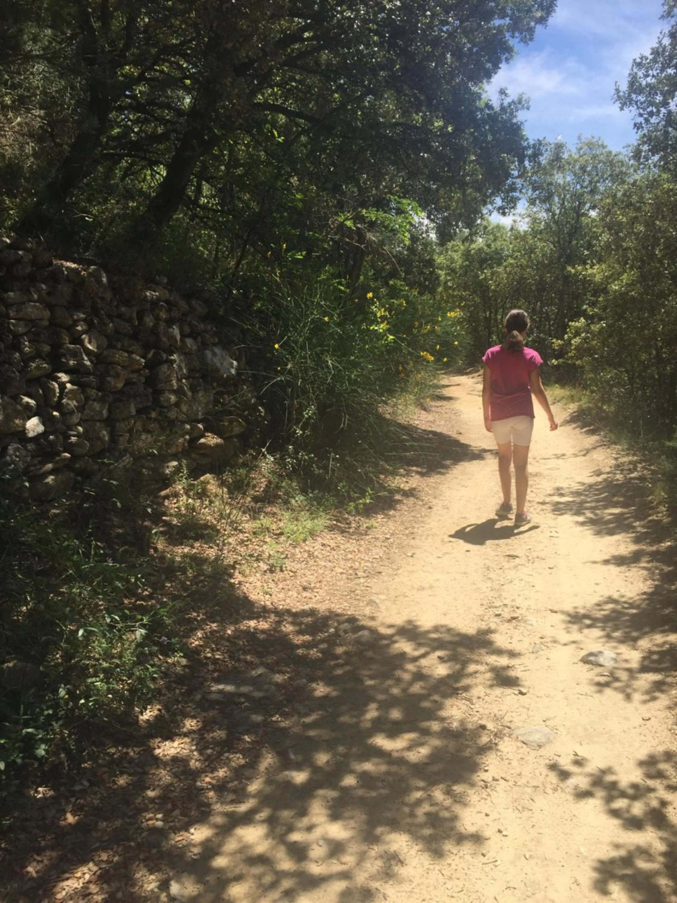 Chambre d’hôtes vaucluse