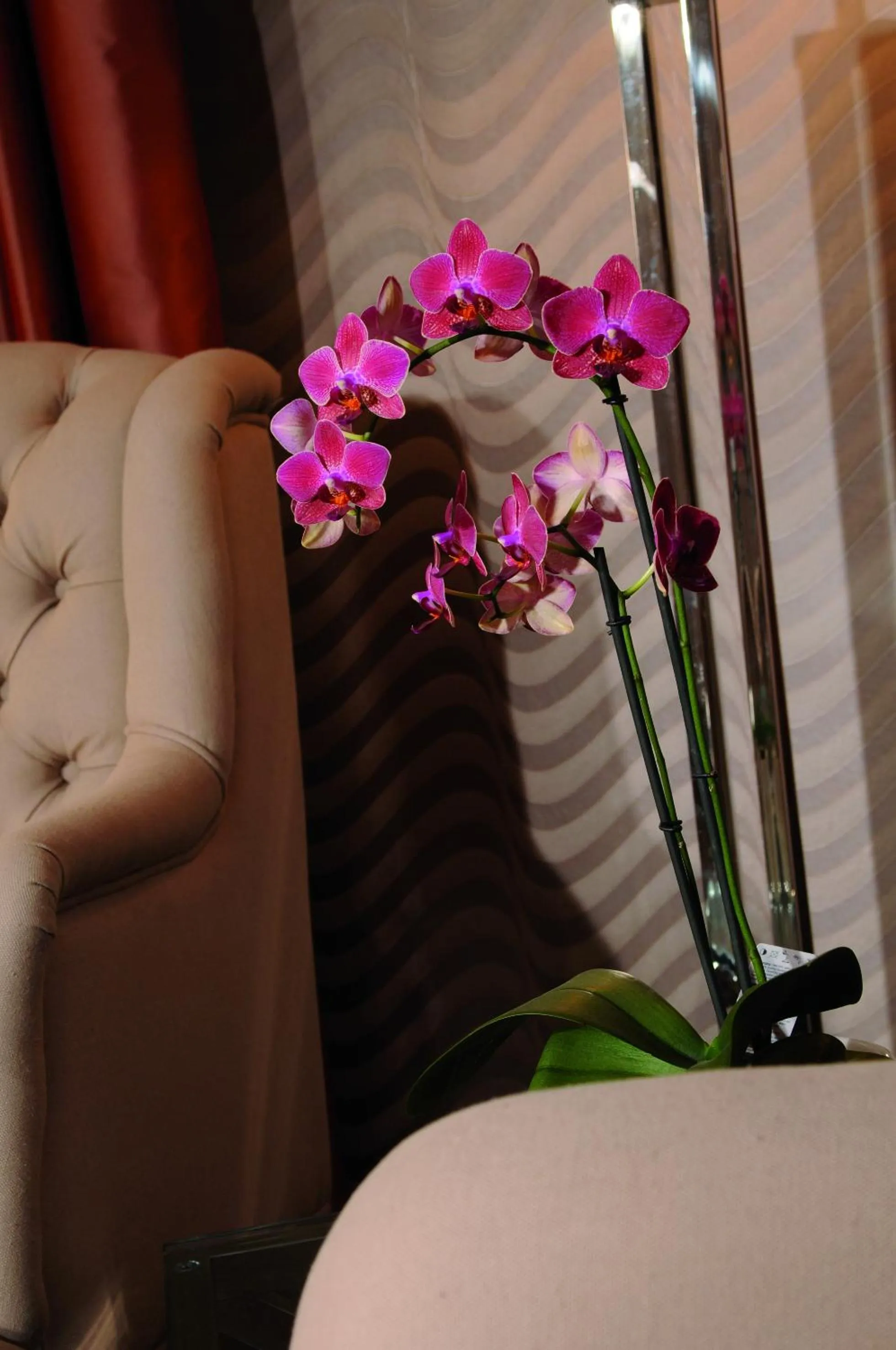 Other, Bed in Best Western Plus Hotel StadtPalais