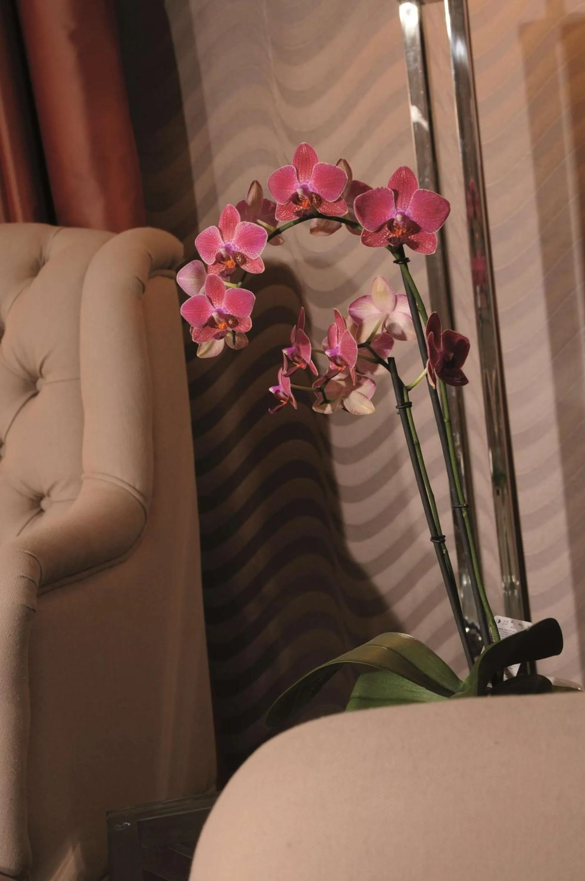 Bedroom in Best Western Plus Hotel StadtPalais