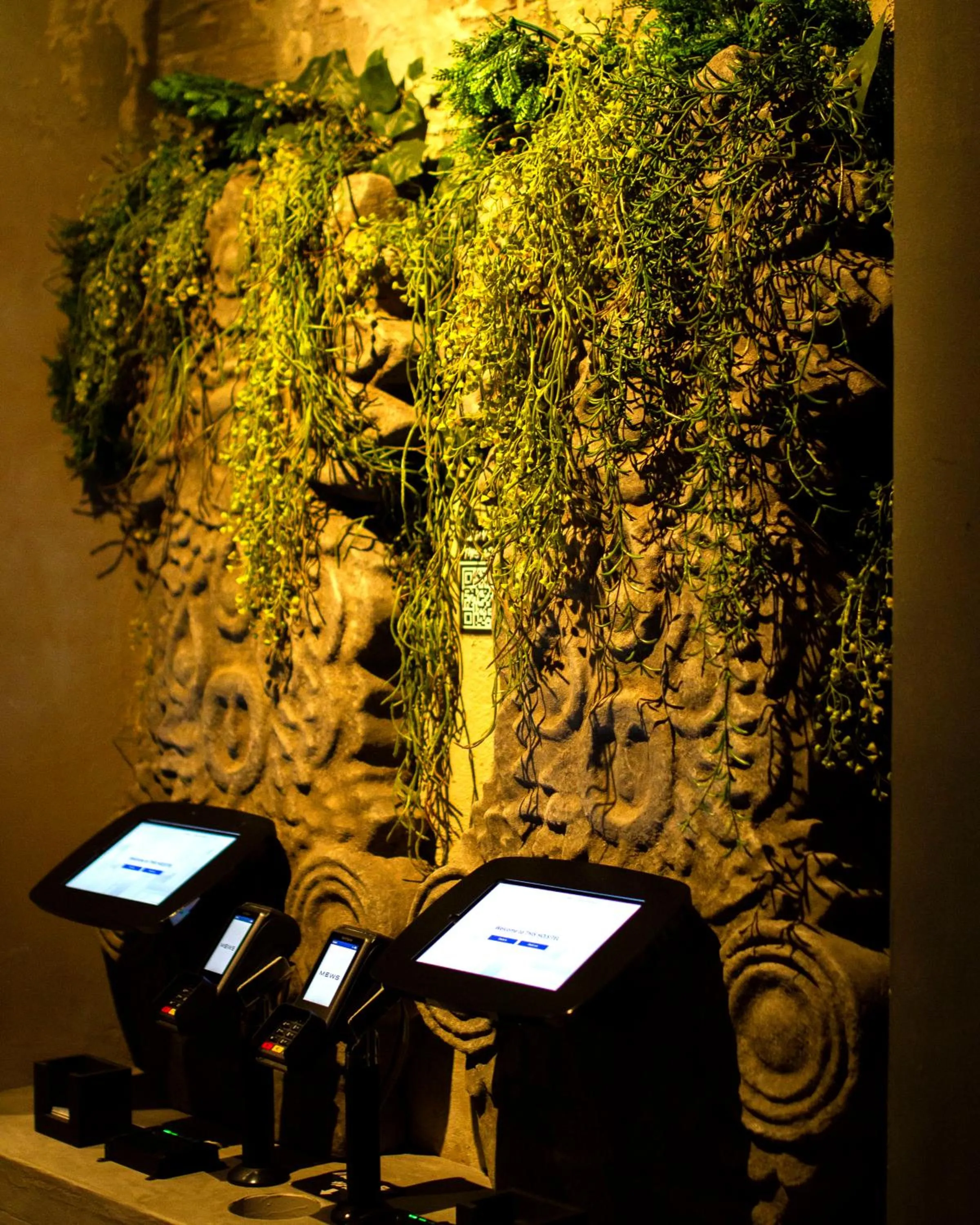 Business facilities in THIS HO(S)TEL