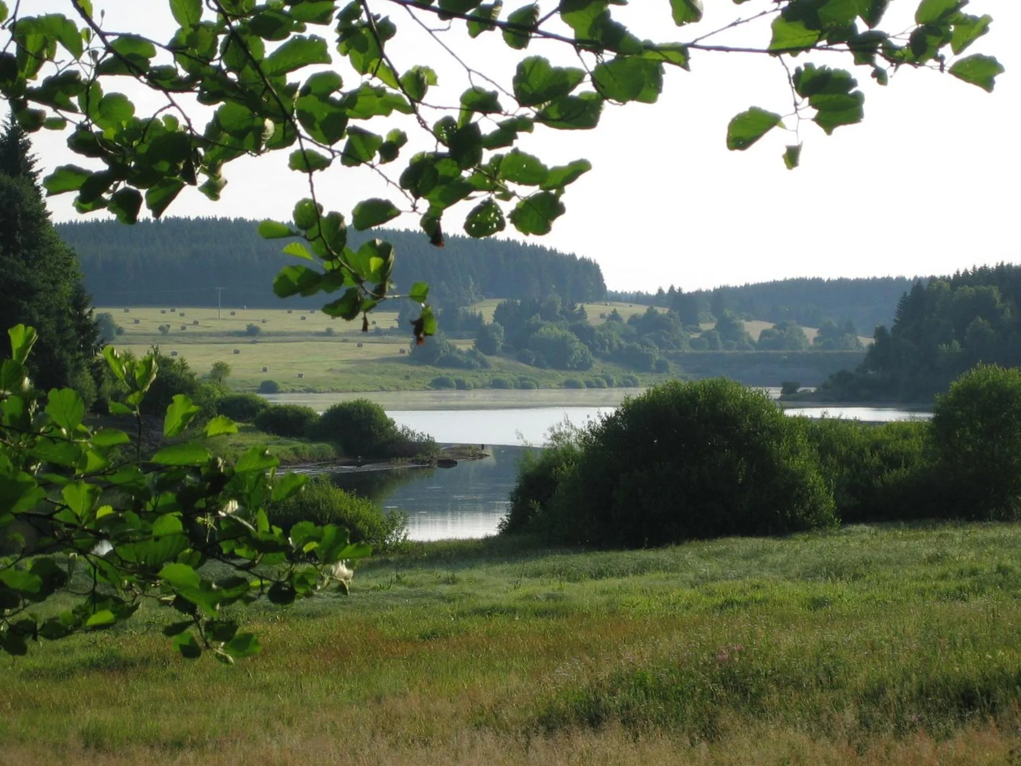 Day in Hotel Grüne Tanne Mandelholz