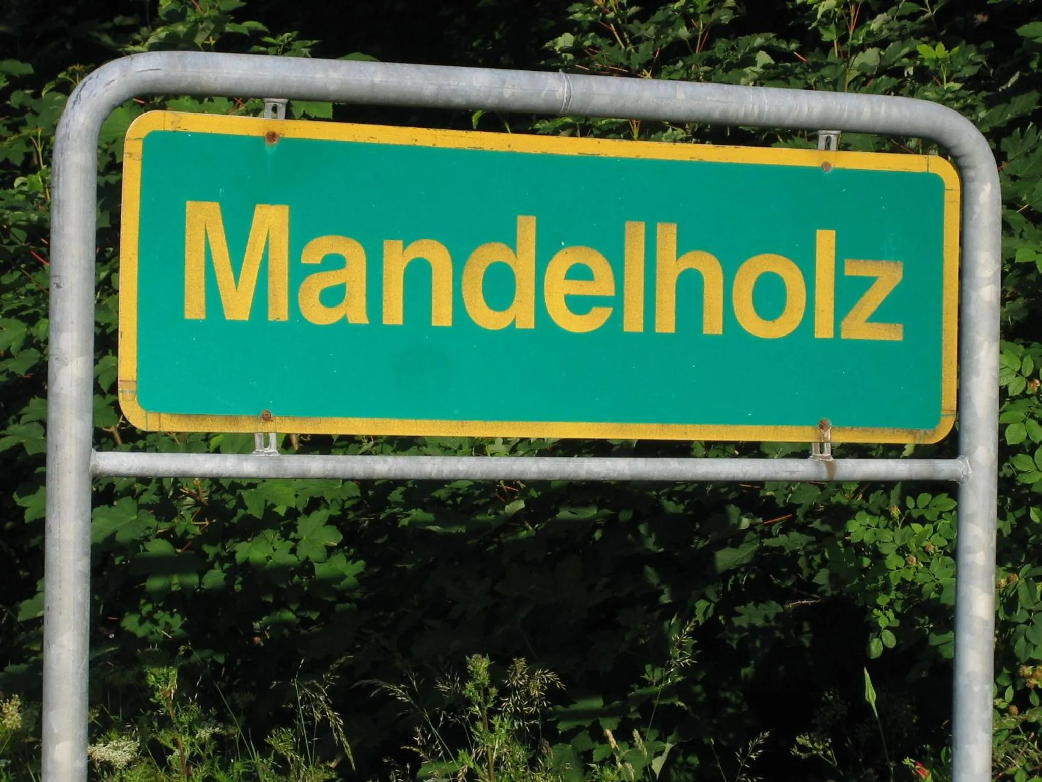 Property logo or sign in Hotel Grüne Tanne Mandelholz