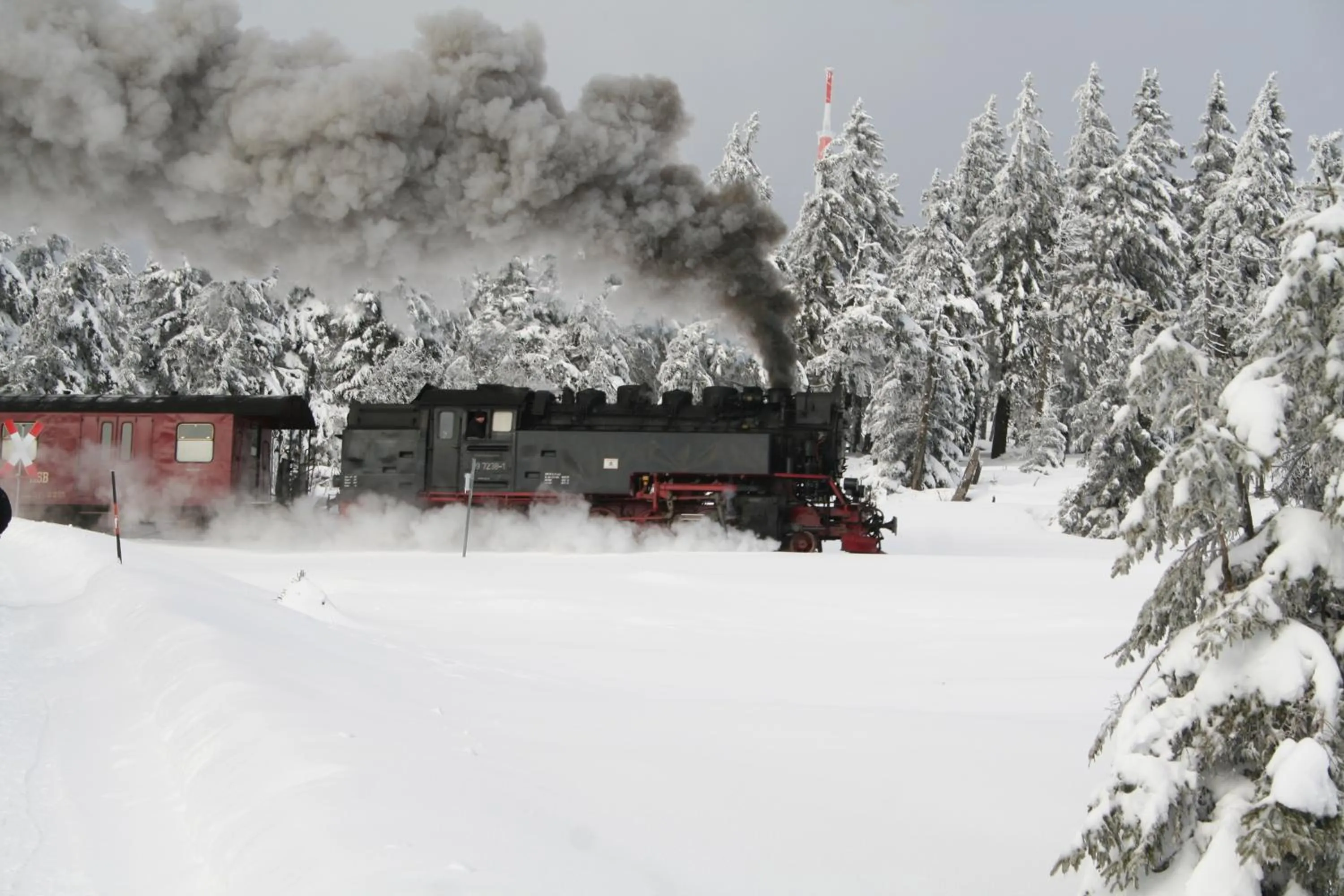 Day in Hotel Grüne Tanne Mandelholz