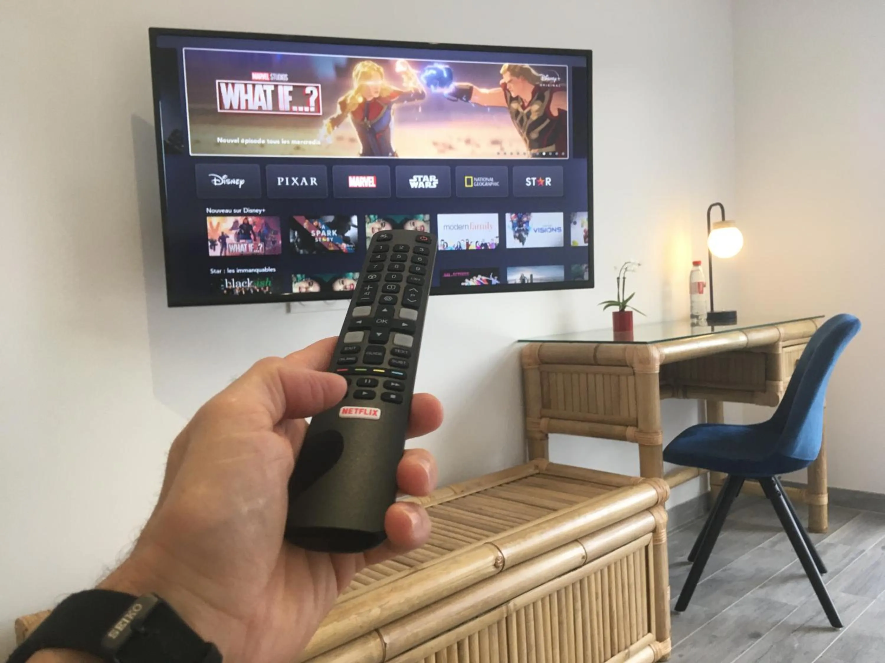 TV and multimedia in Domaine des Bois Argentés