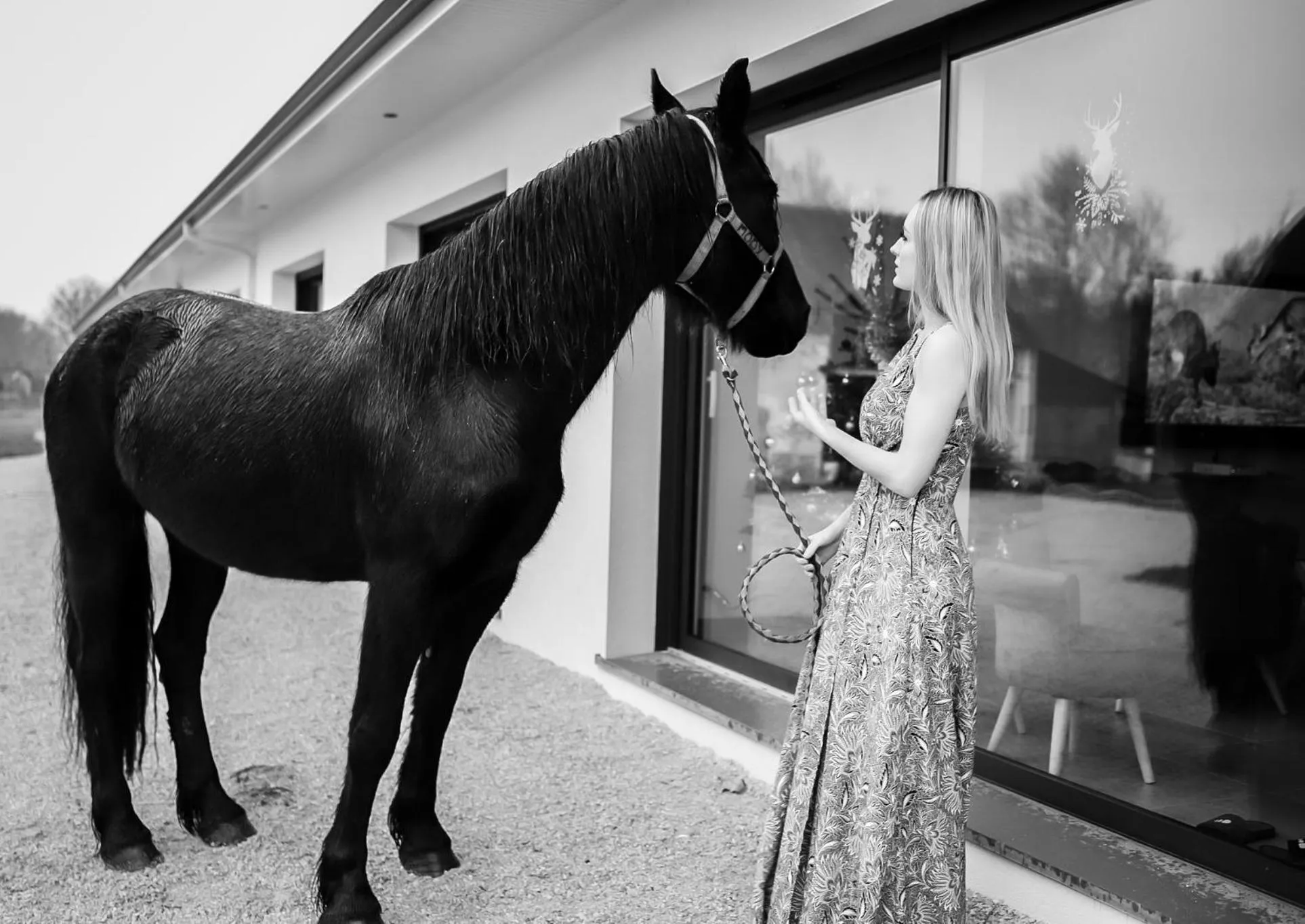 Animals in Domaine des Bois Argentés