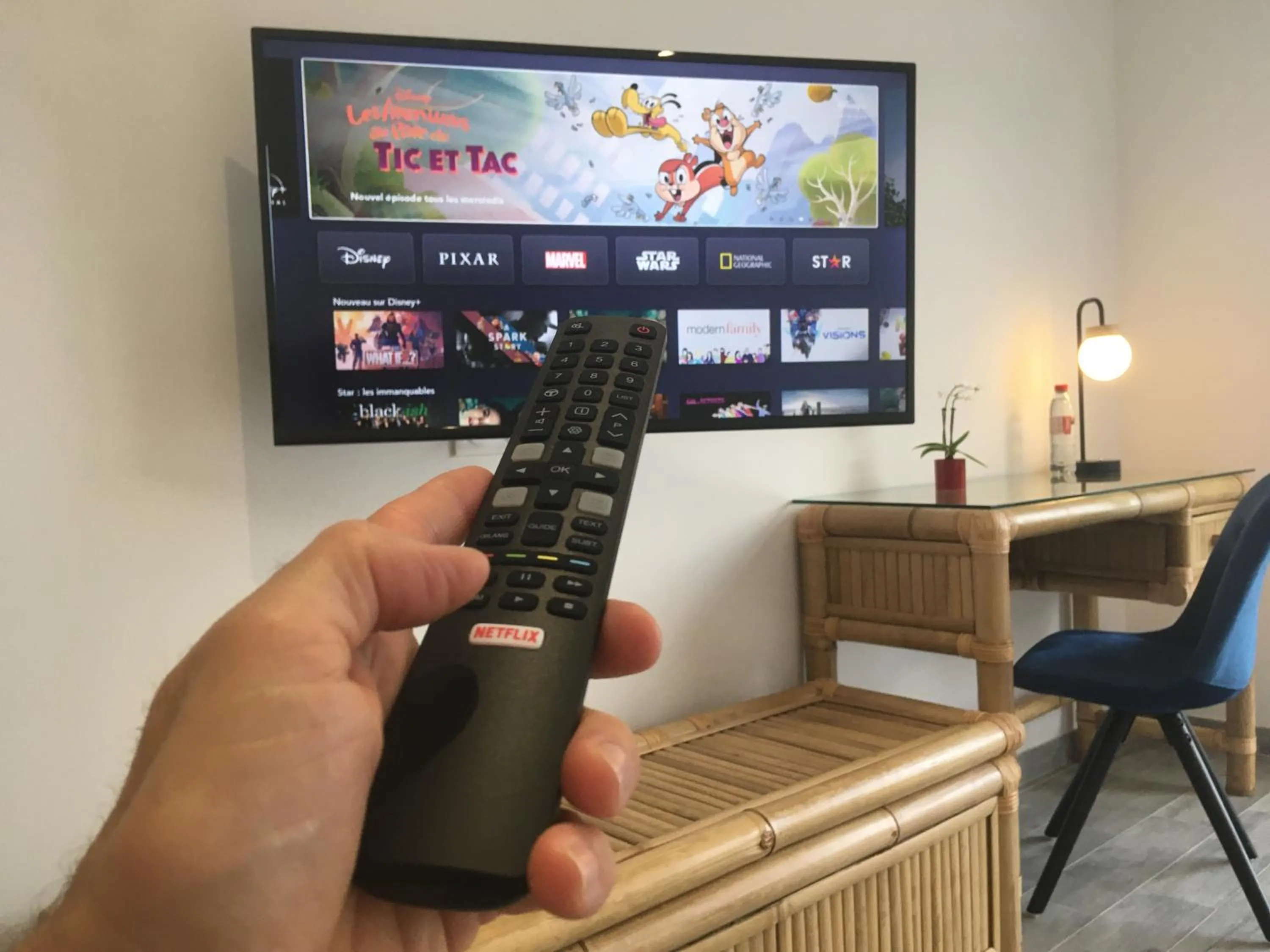 TV and multimedia in Domaine des Bois Argentés