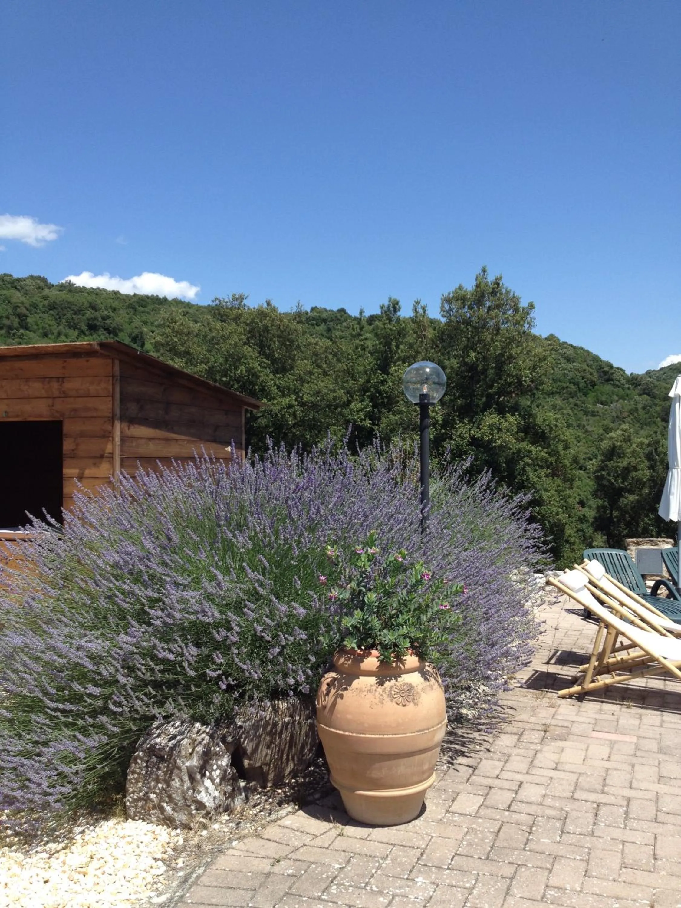 Podere La Castellina