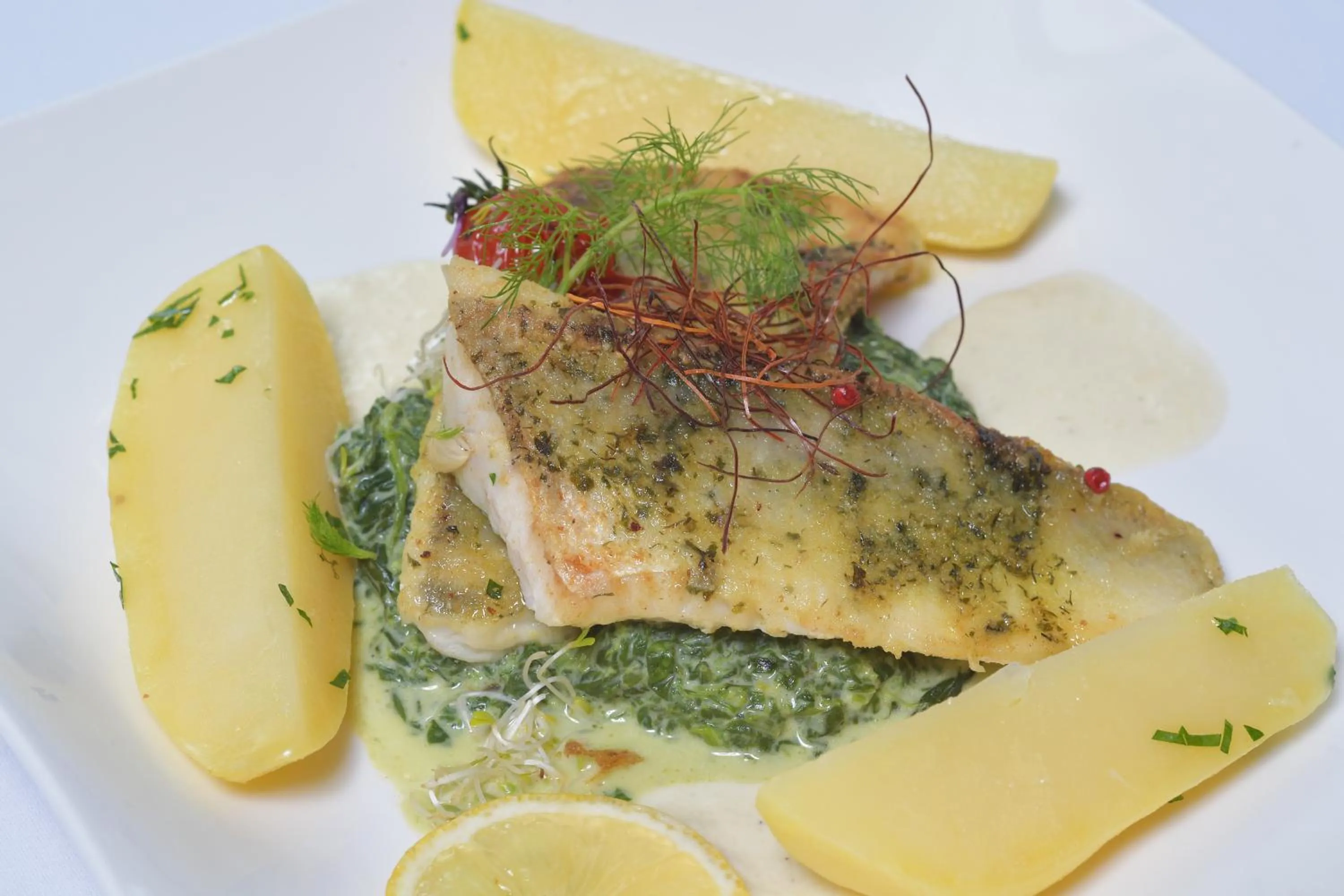 Lunch in Hotel Krone