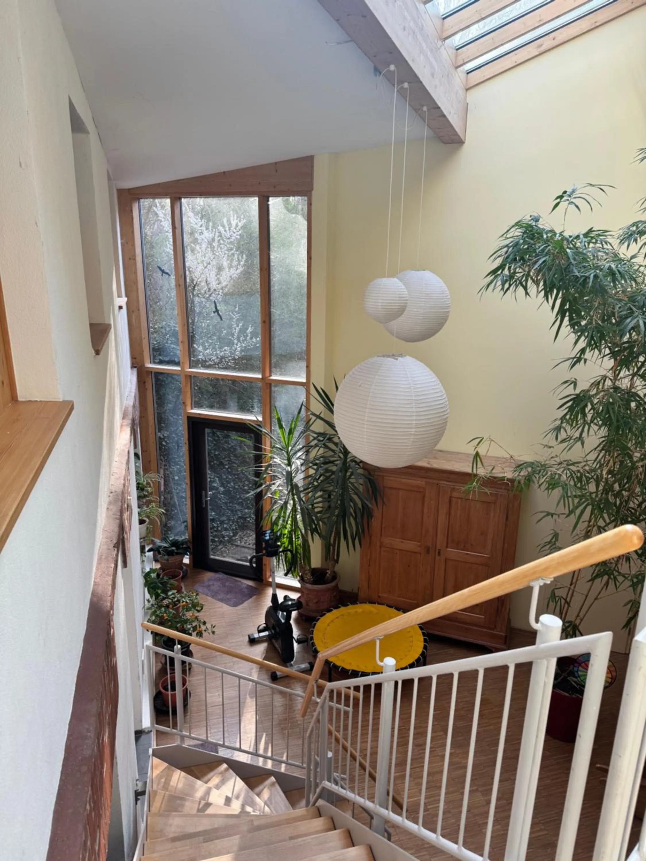 View (from property/room) in Hotel Grünwald