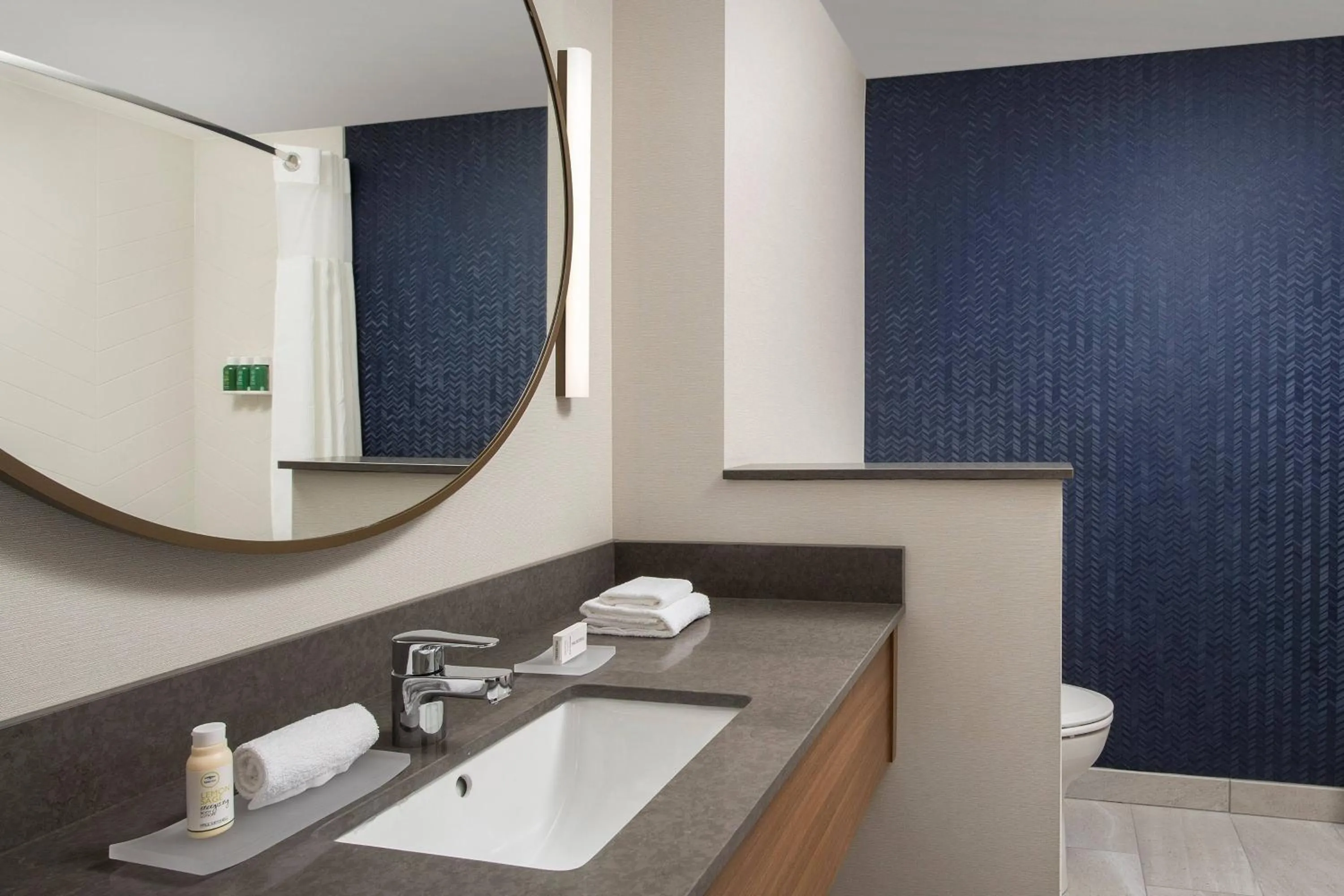 Bathroom in Fairfield Inn & Suites Nashville Near Vanderbilt