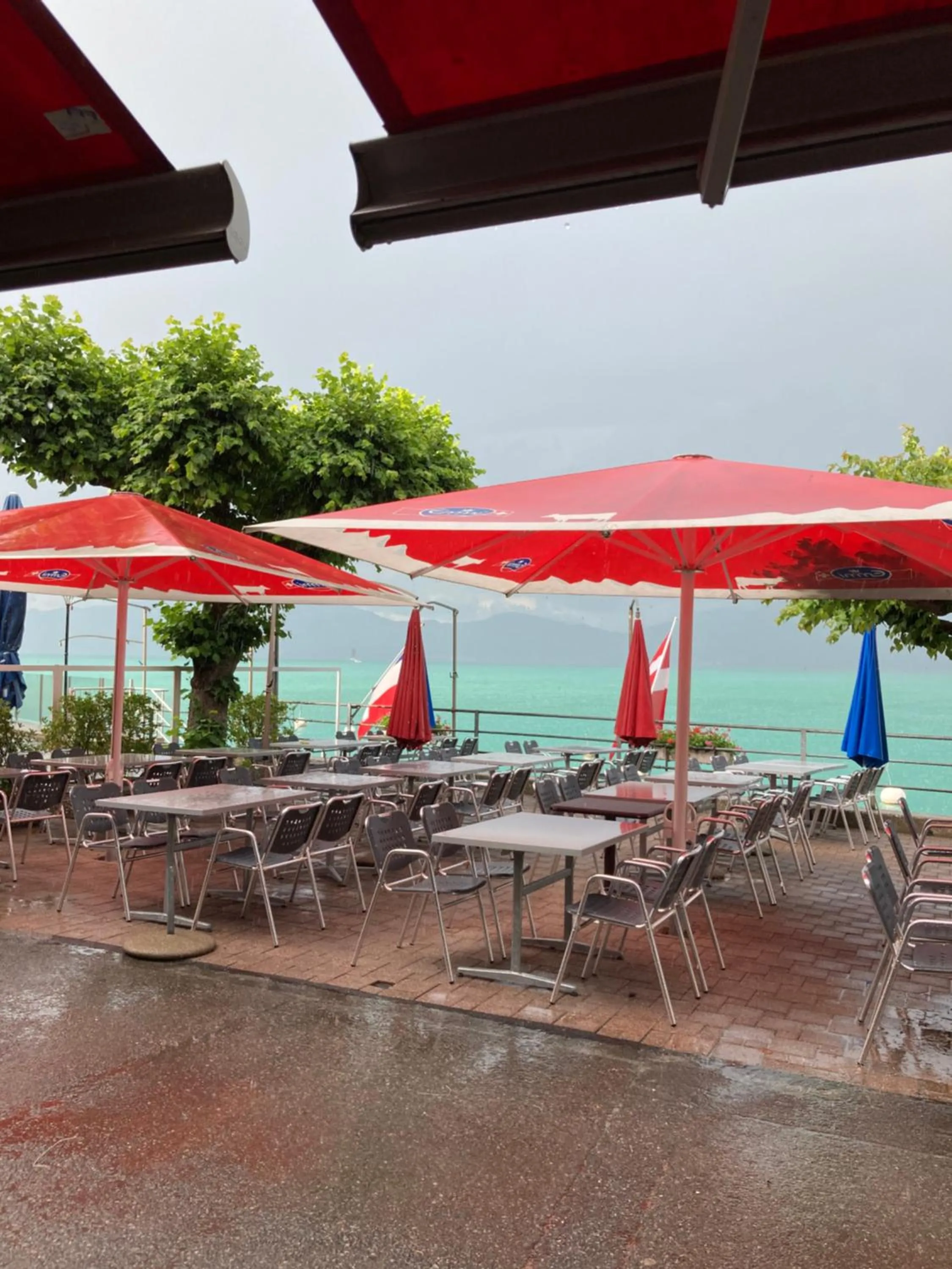 Balcony/Terrace in Hotel Le Rivage