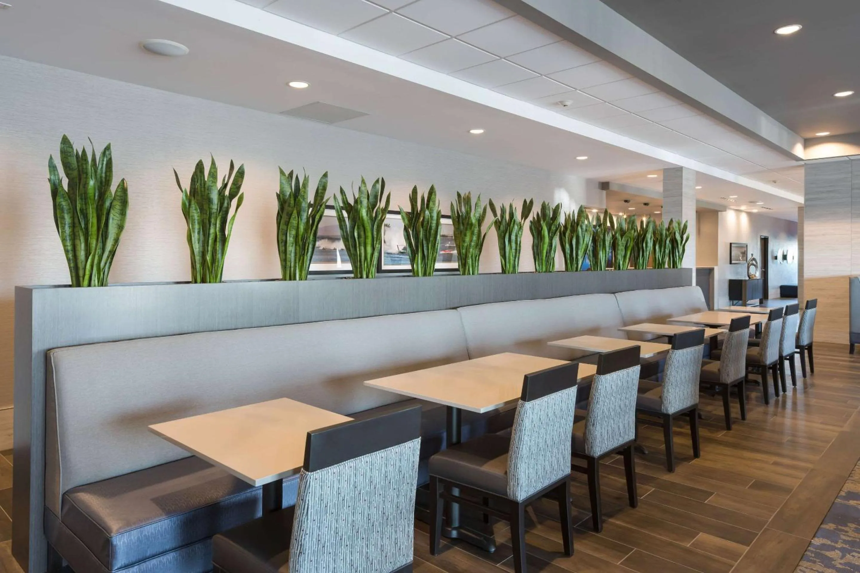 Restaurant/places to eat in Comfort Suites Kennewick at Southridge