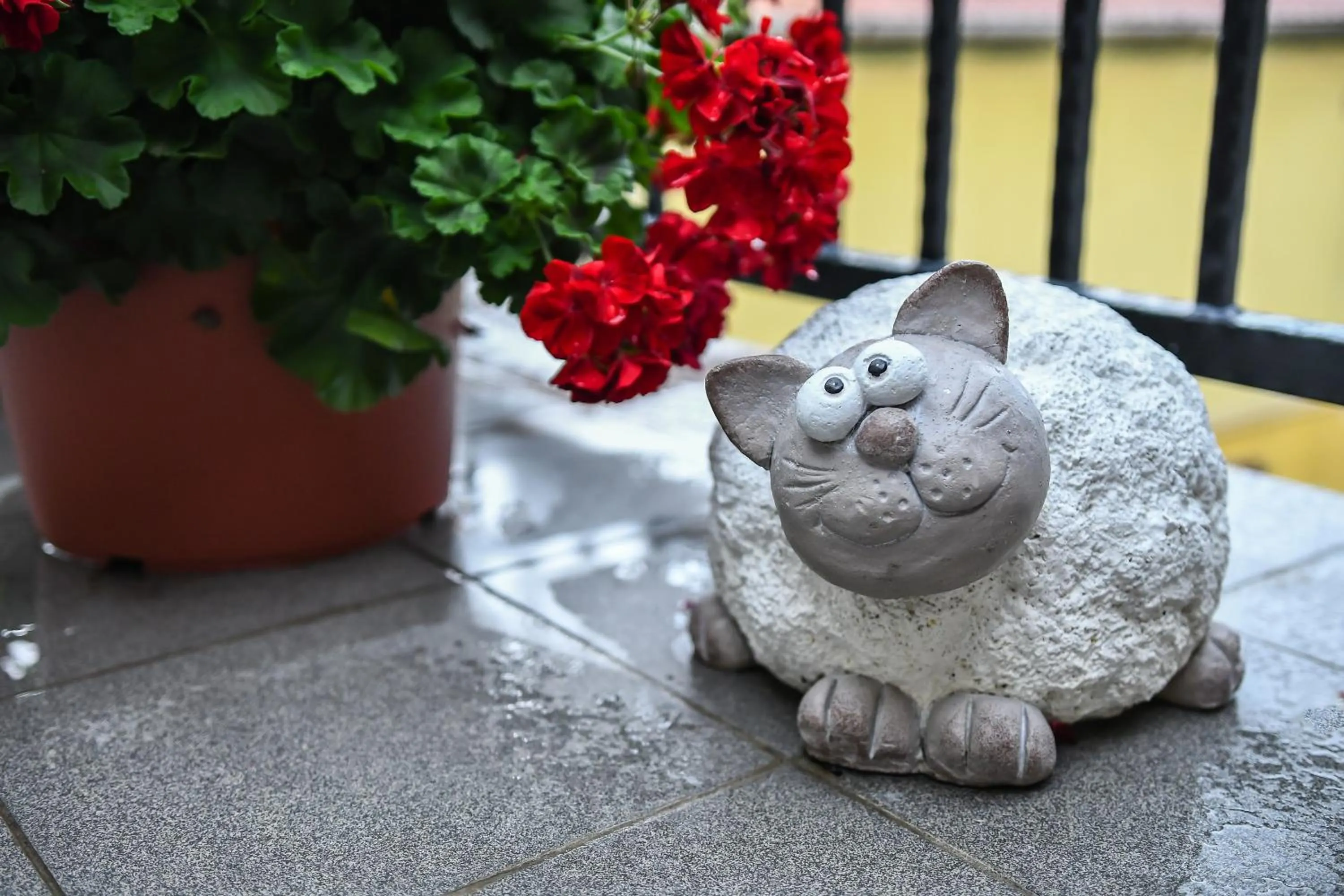 Property building in É-Vaskó Panzió Borpince
