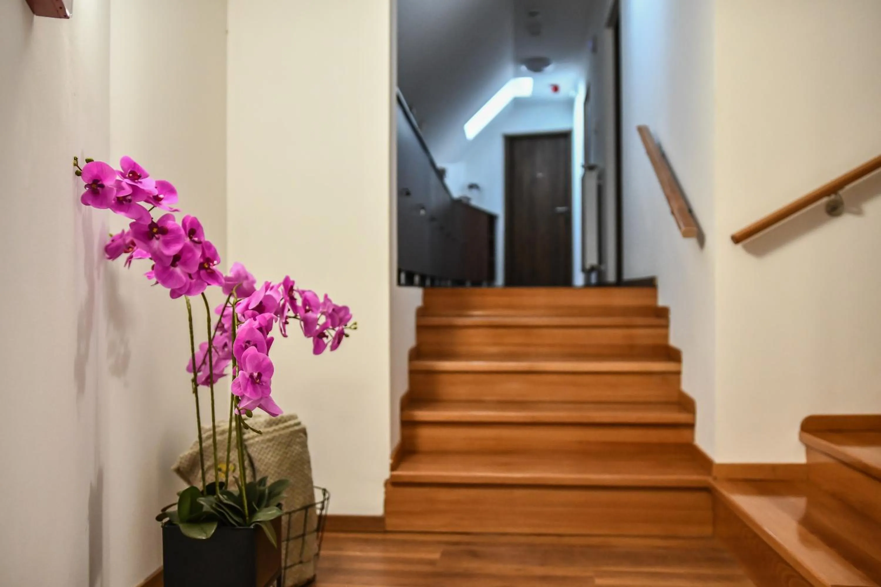 Property building in É-Vaskó Panzió Borpince