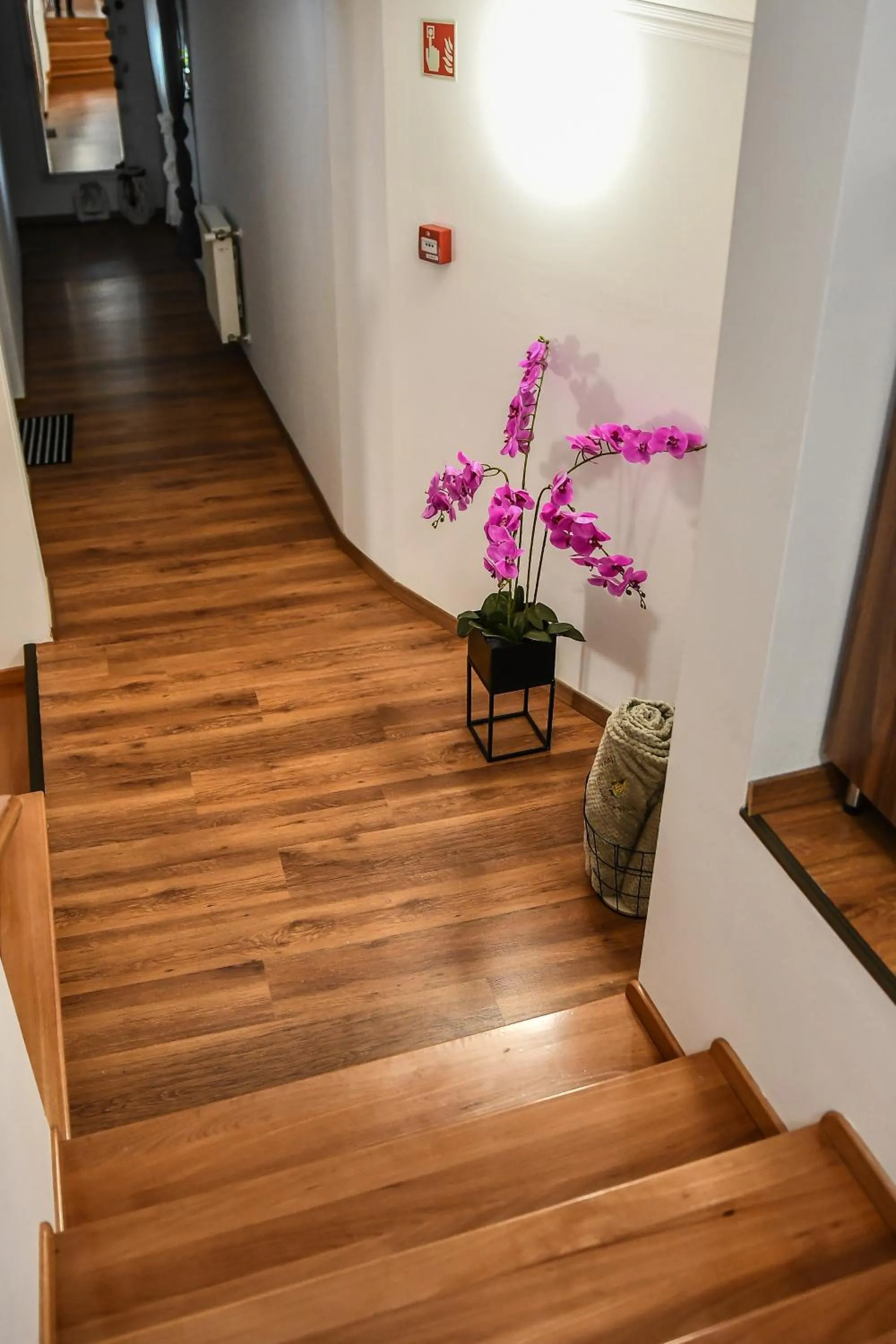 Property building in É-Vaskó Panzió Borpince