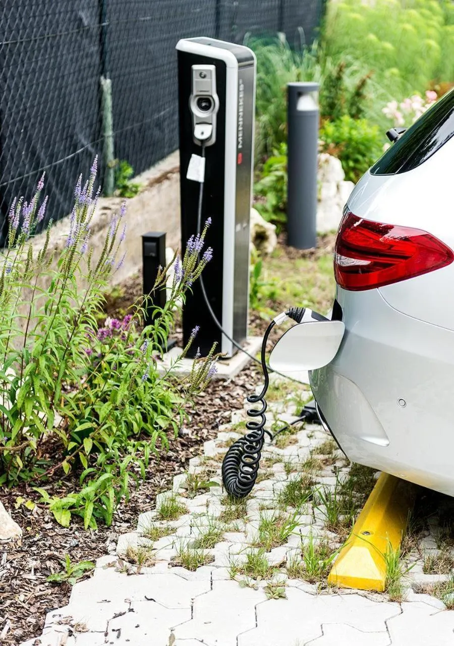 Other in Hotel Altes Brauhaus garni