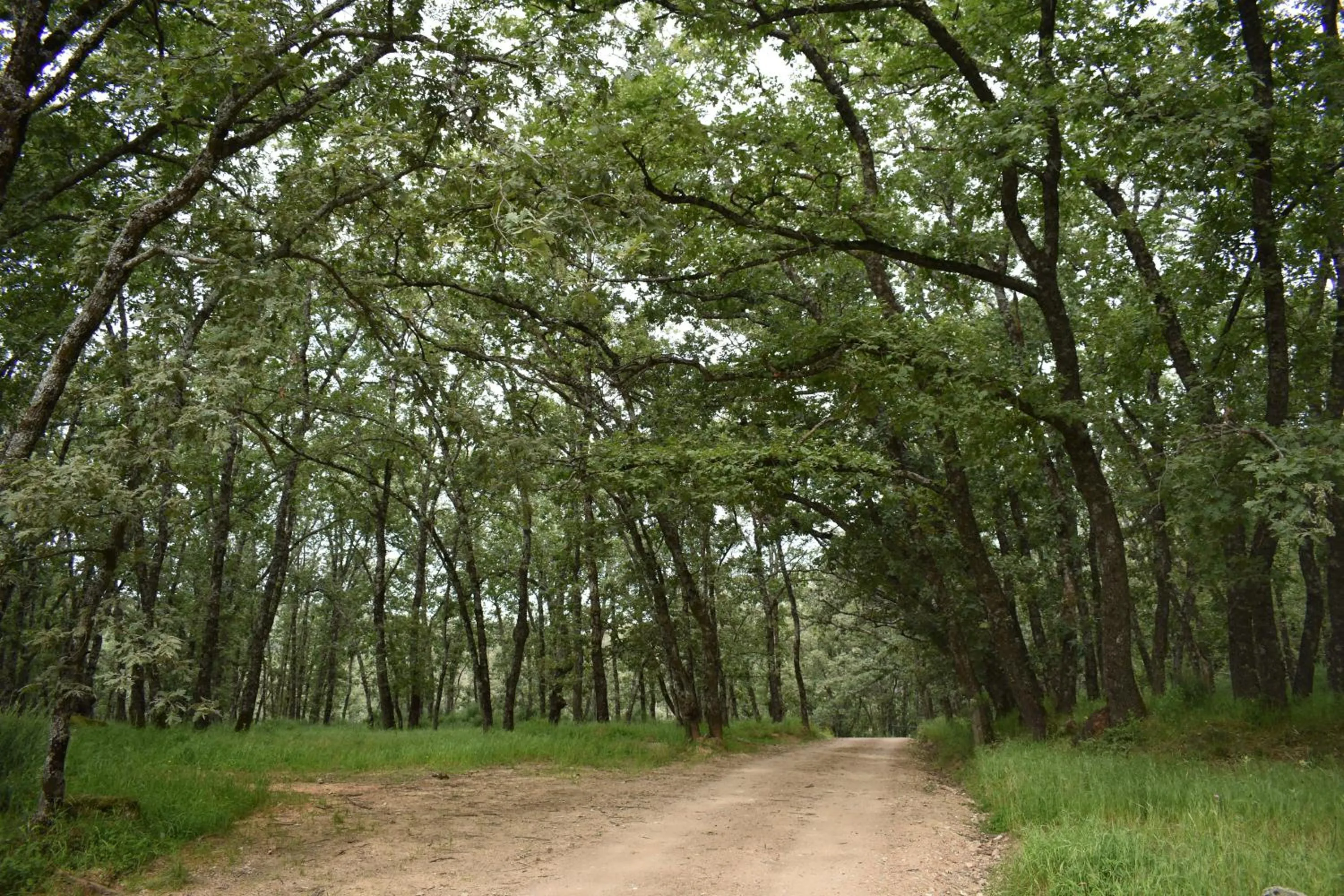 Natural landscape in Hotel Rural San Giles