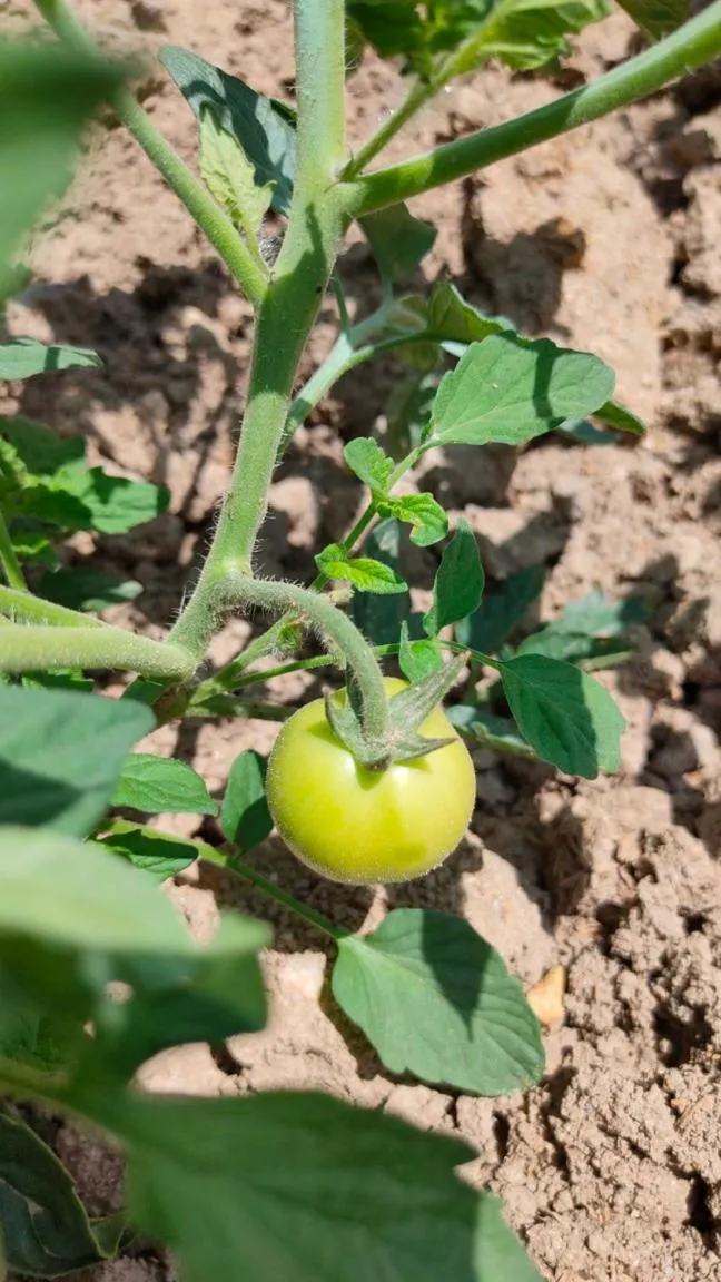 Hotel Rural San Giles