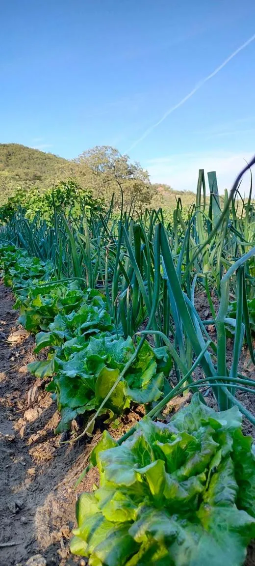 Hotel Rural San Giles