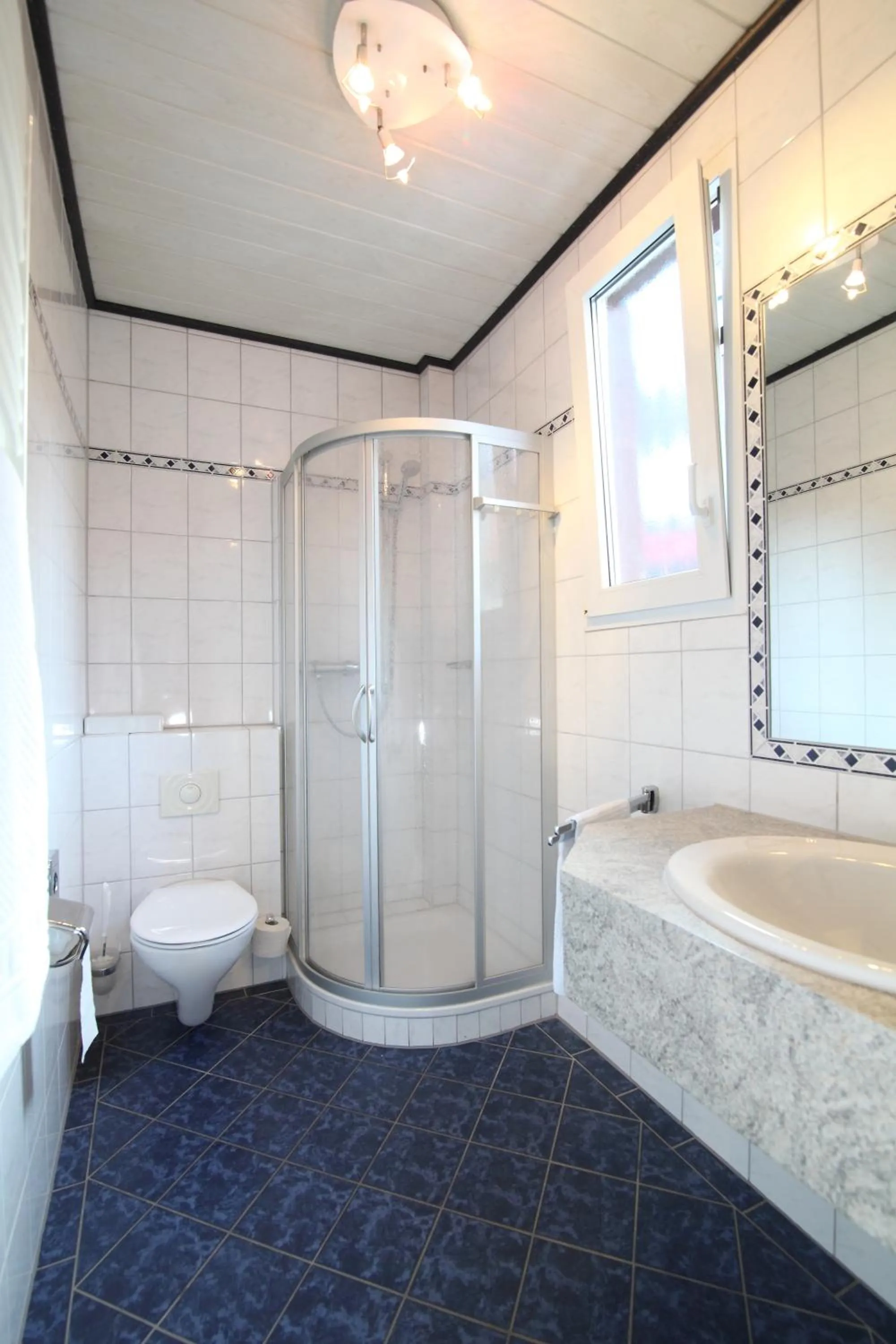 Shower in Hotel Ickhorn