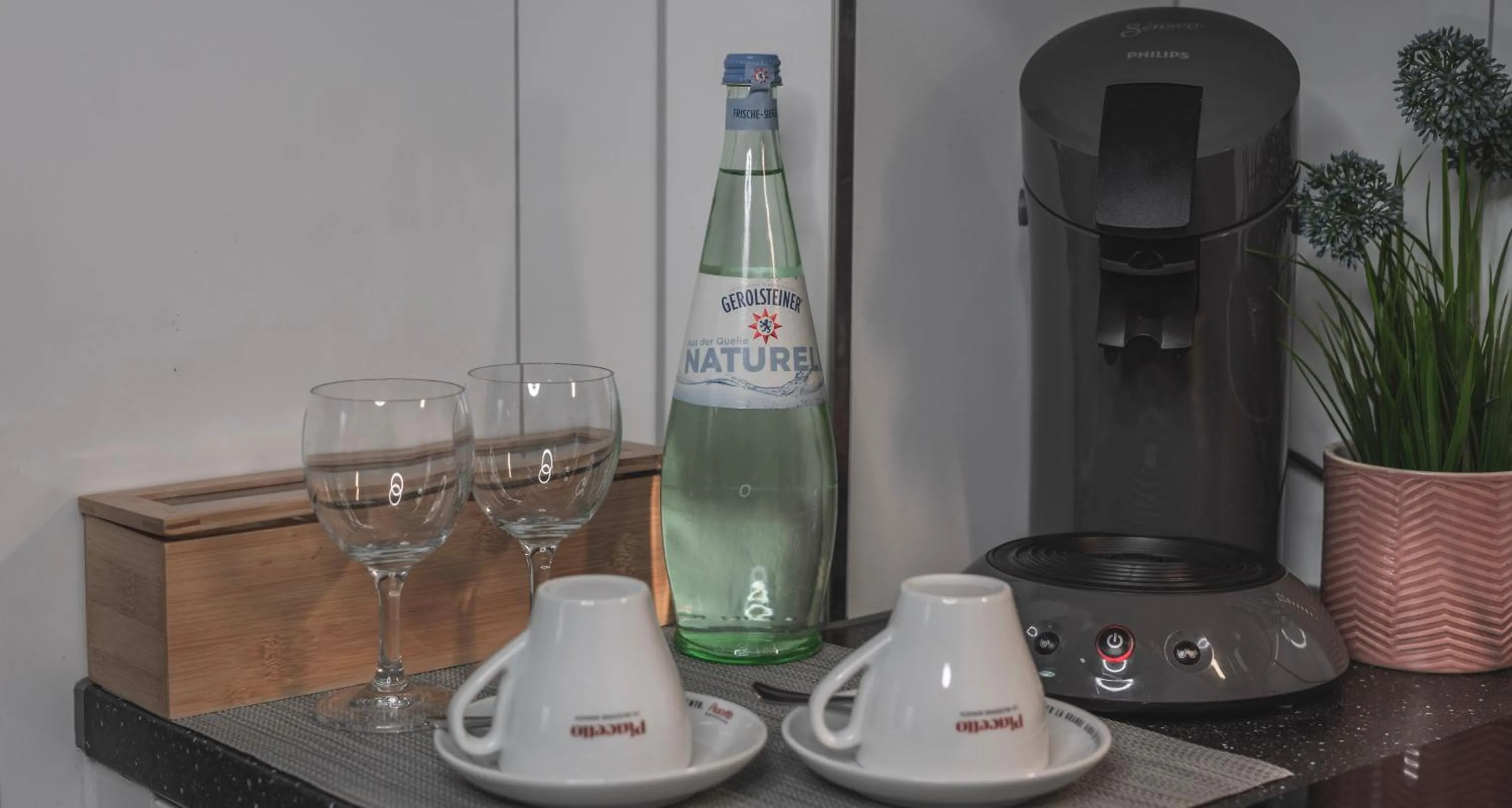 Drinks in Apartments am Rheingarten